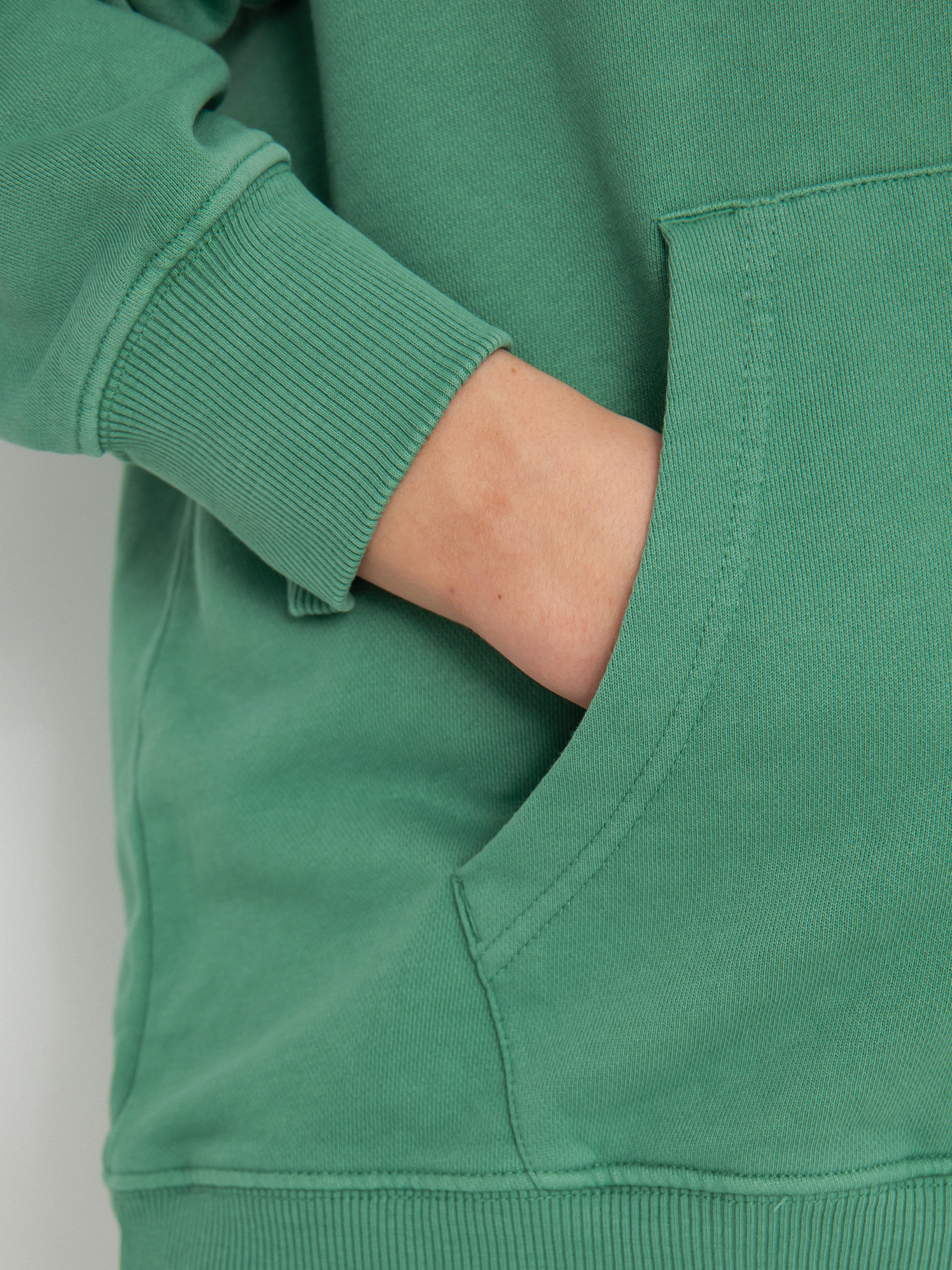 Bluza z kapturem Element Cornell 3.0 HD (foliage)