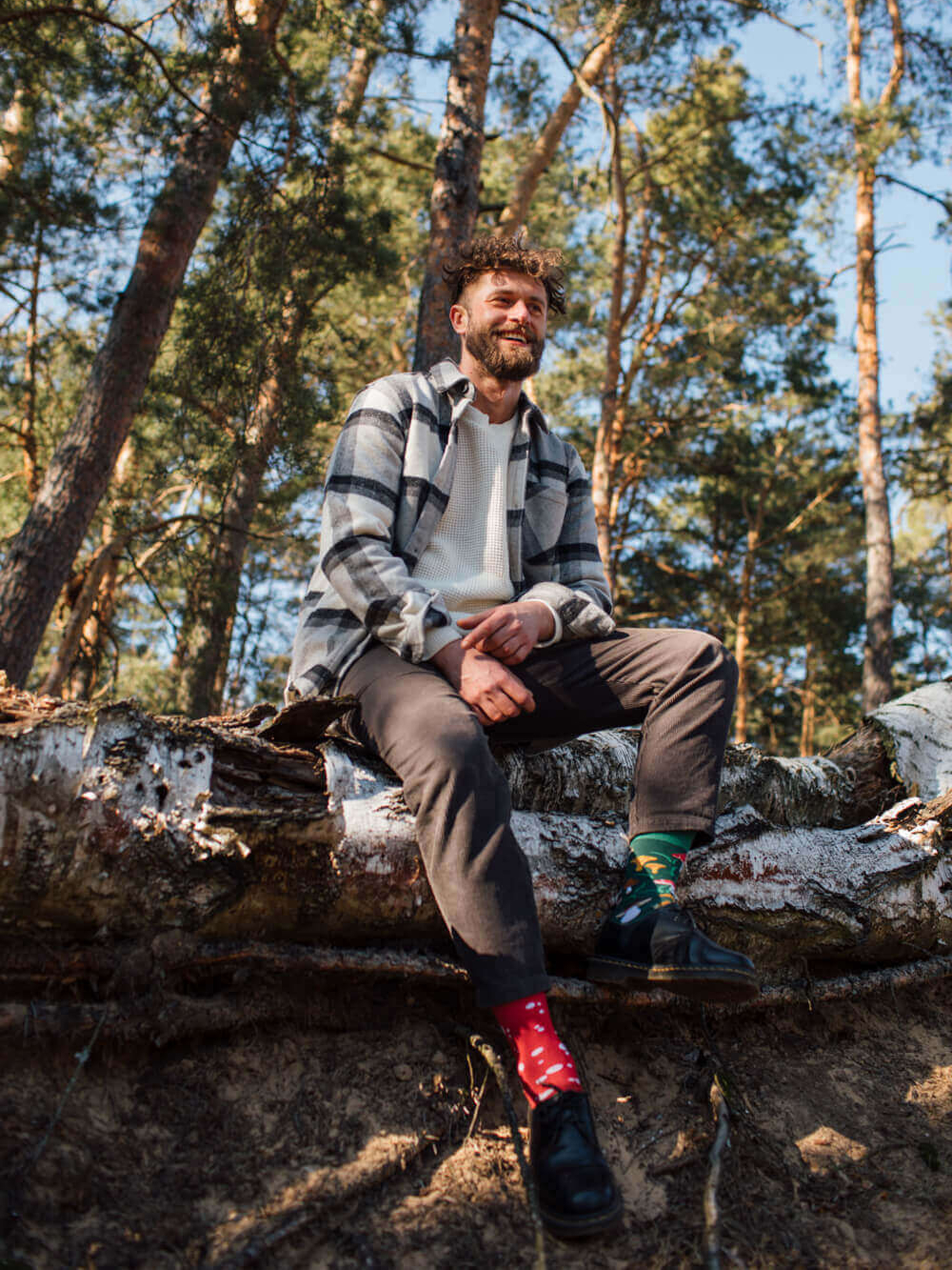 Skarpetki Many Mornings Meet The Shrooms (green/red)