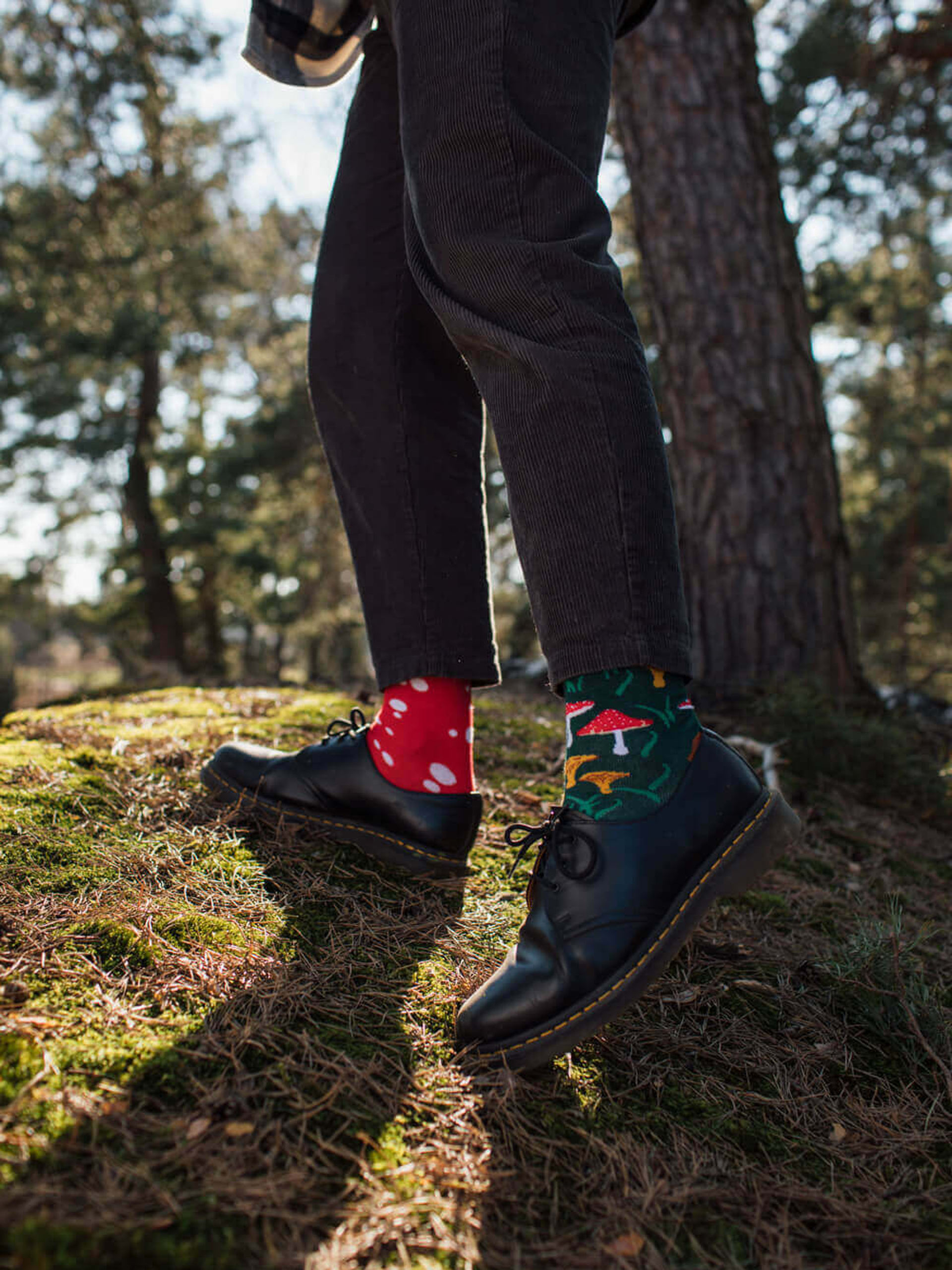 Skarpetki Many Mornings Meet The Shrooms (green/red)