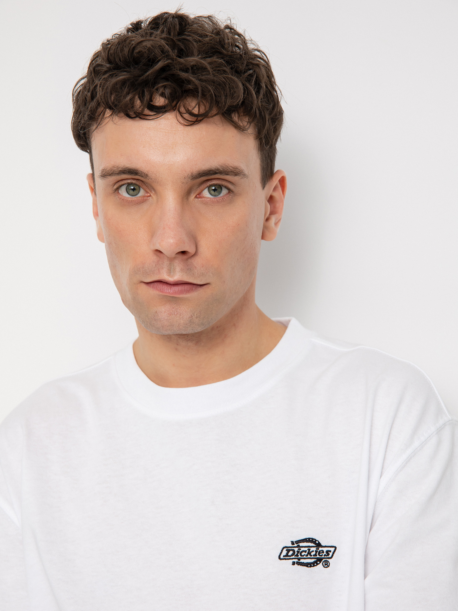 T-shirt Dickies Summerdale (white)