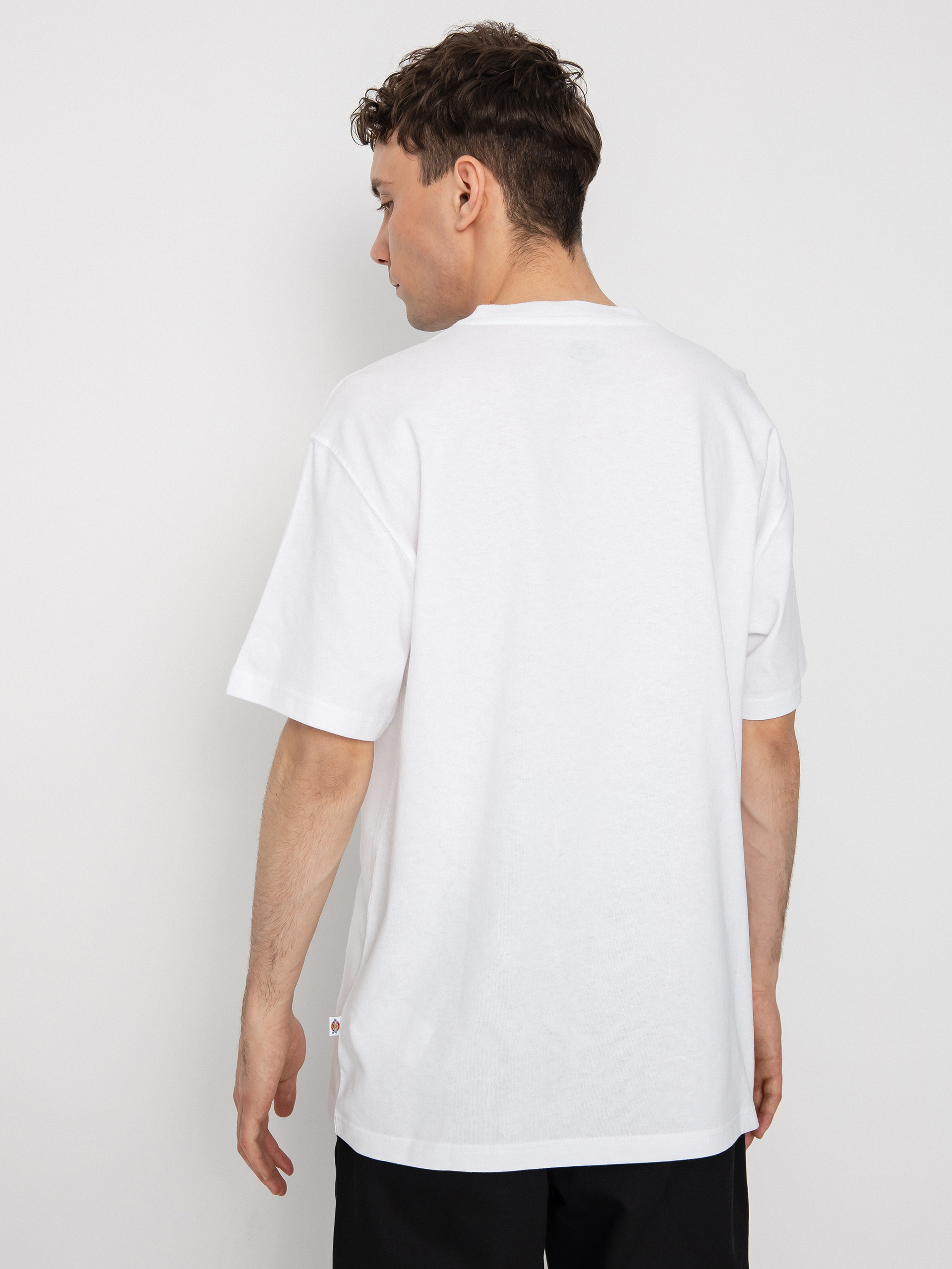 T-shirt Dickies Summerdale (white)