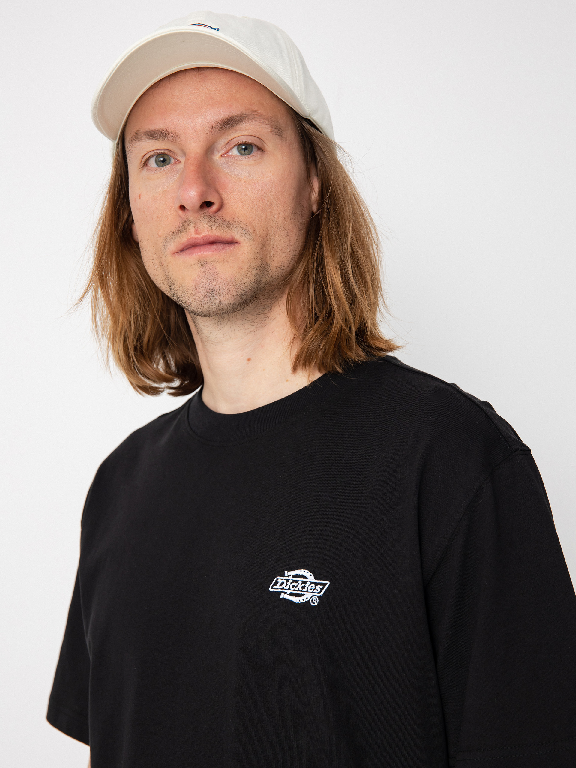 T-shirt Dickies Summerdale (black)
