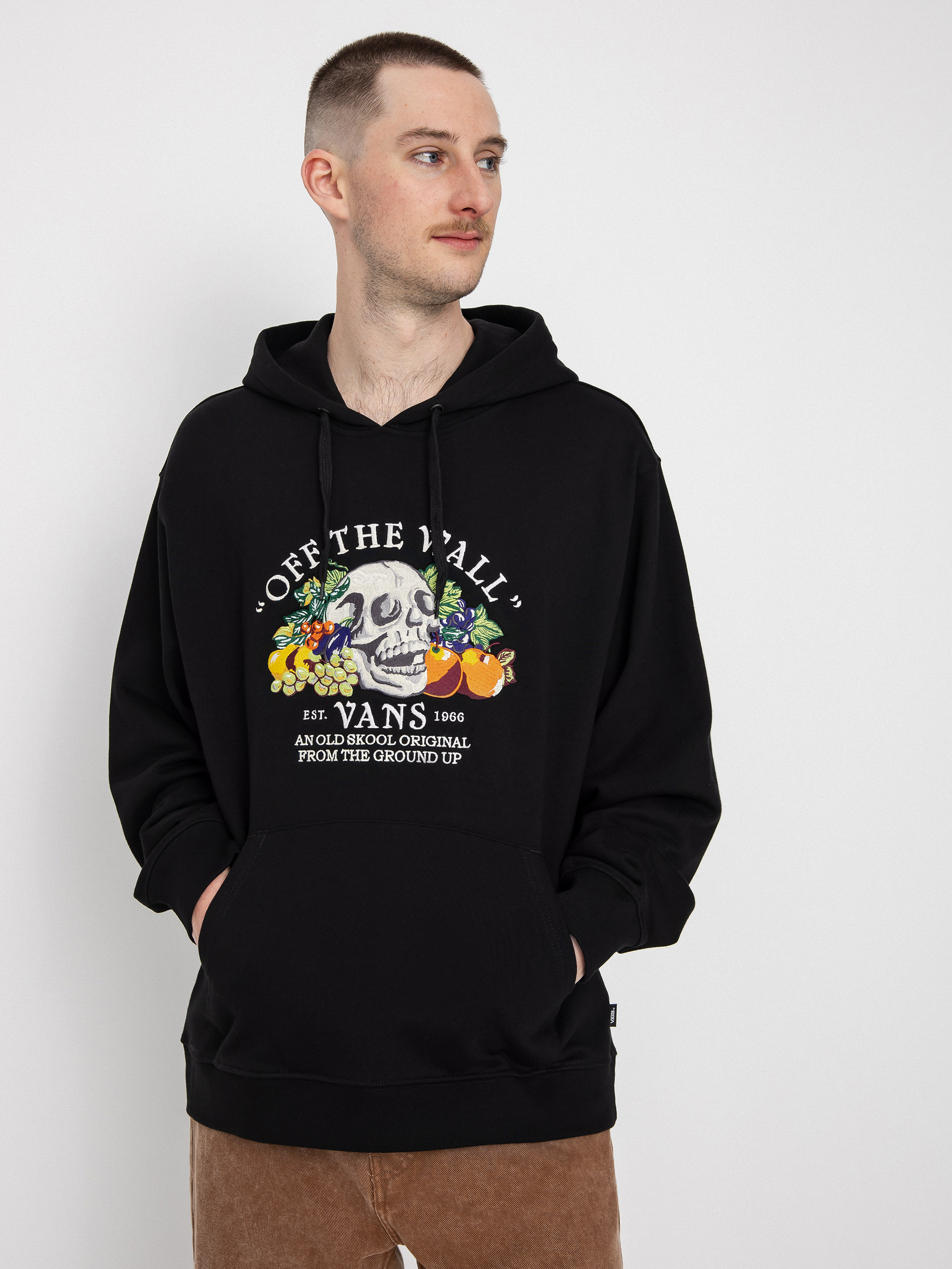 Bluza z kapturem Vans From The Ground Up HD (black)