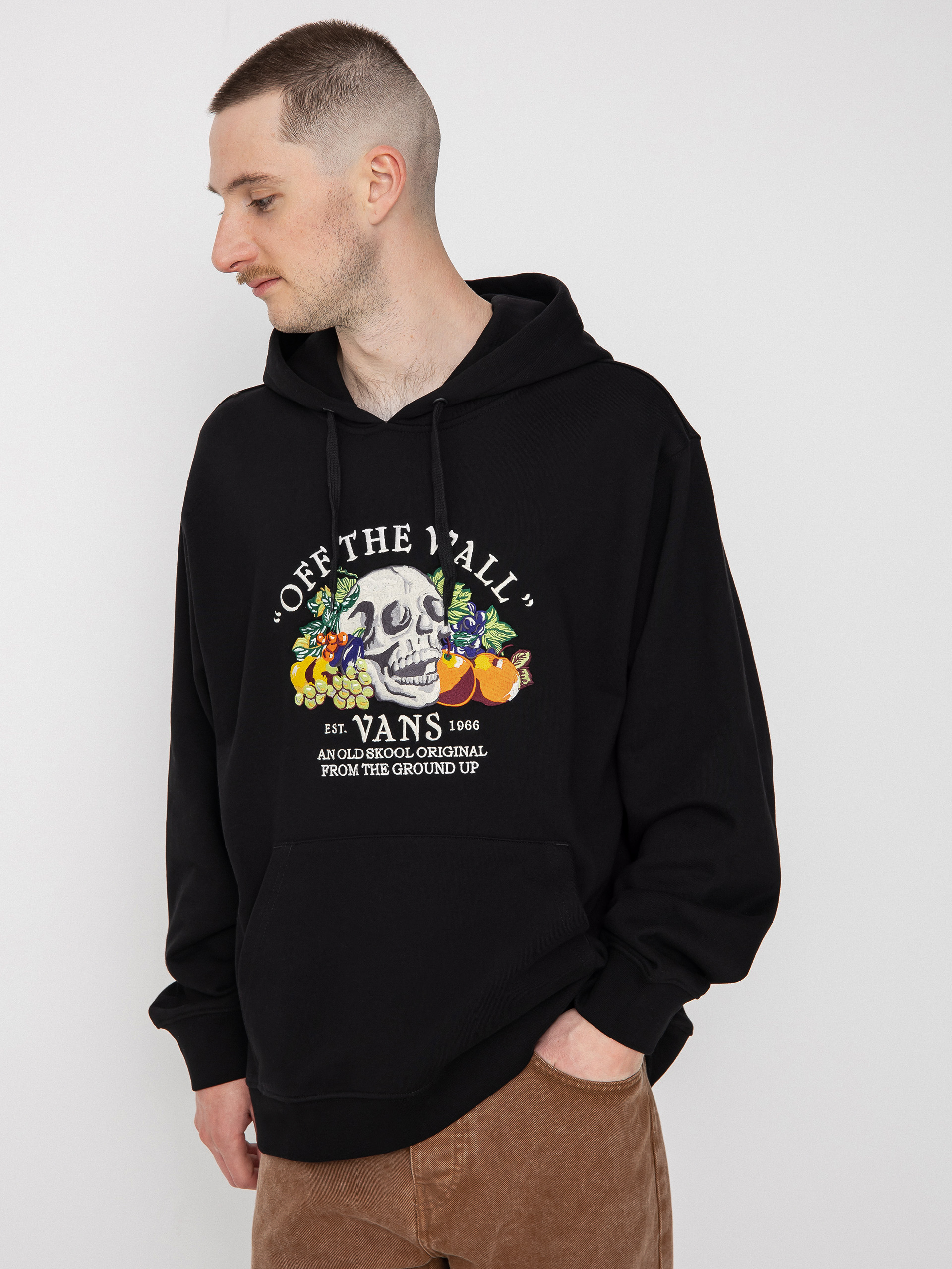 Bluza z kapturem Vans From The Ground Up HD (black)