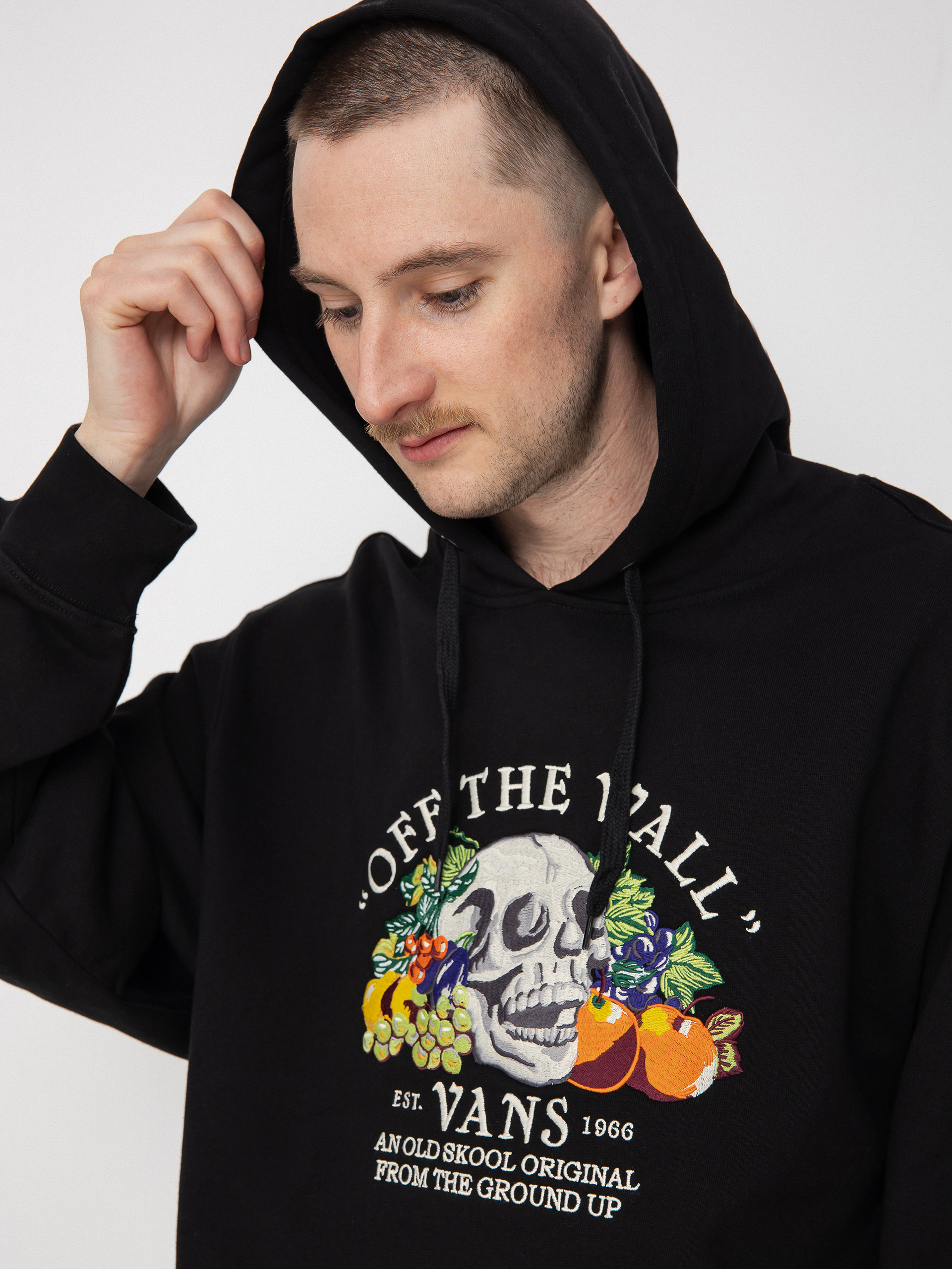 Bluza z kapturem Vans From The Ground Up HD (black)