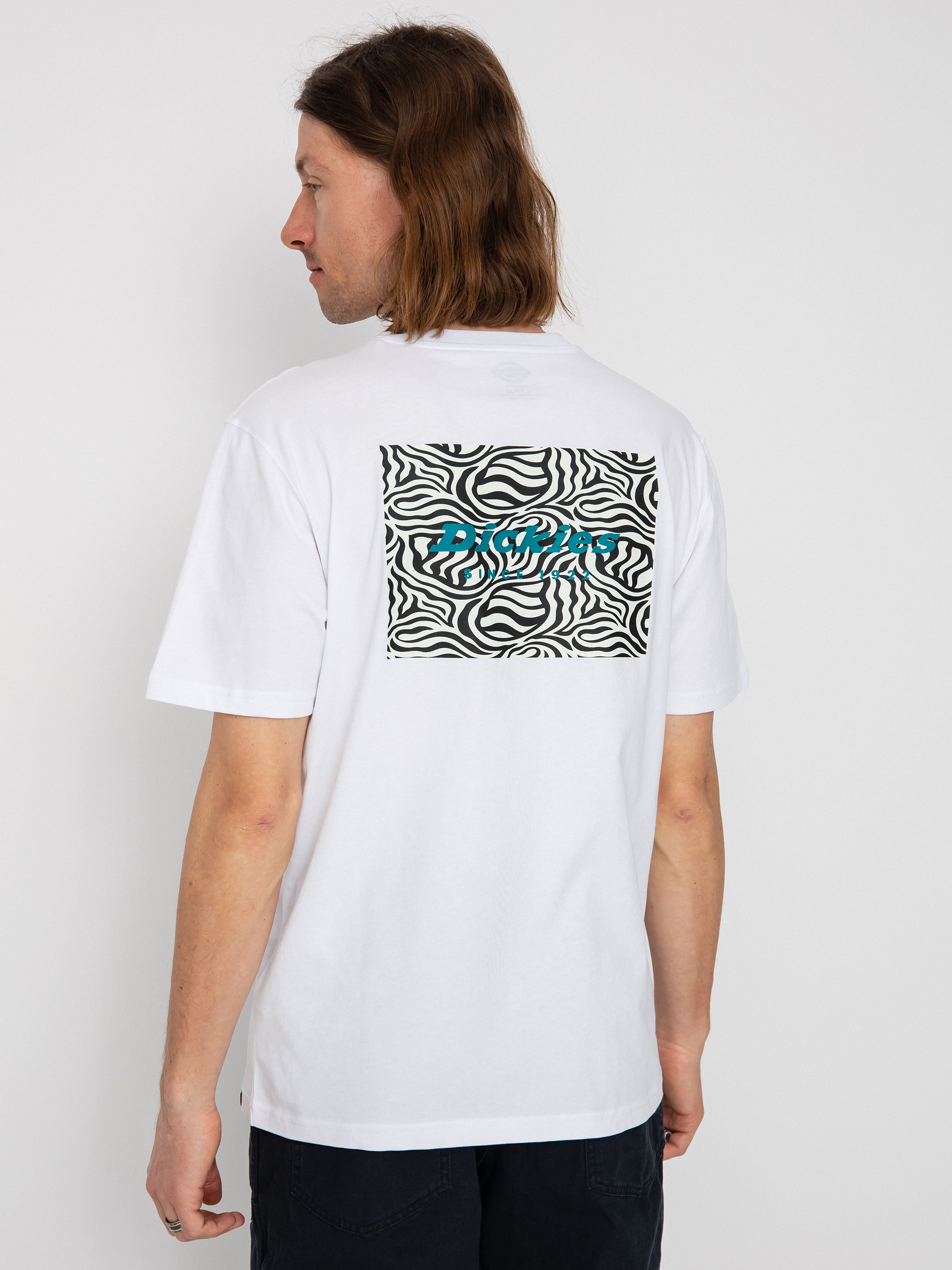 T-shirt Dickies Leesburg (white)