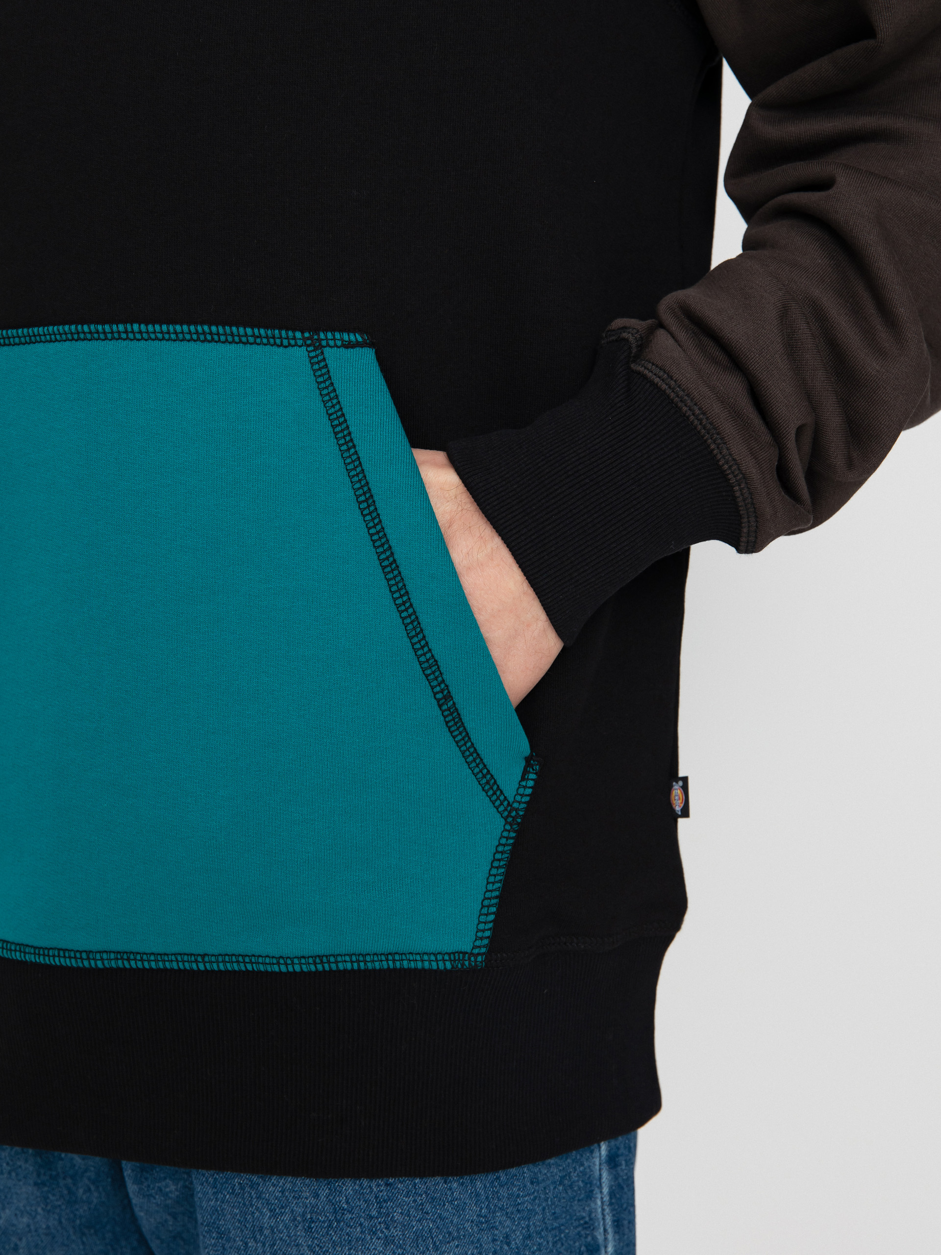 Bluza z kapturem Dickies Eddyville HD (black)