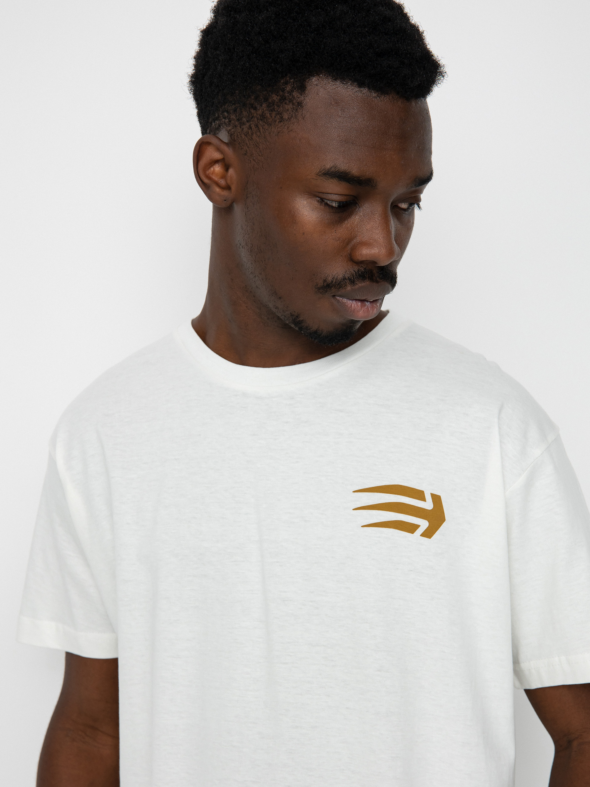 T-shirt Etnies Joslin (natural)