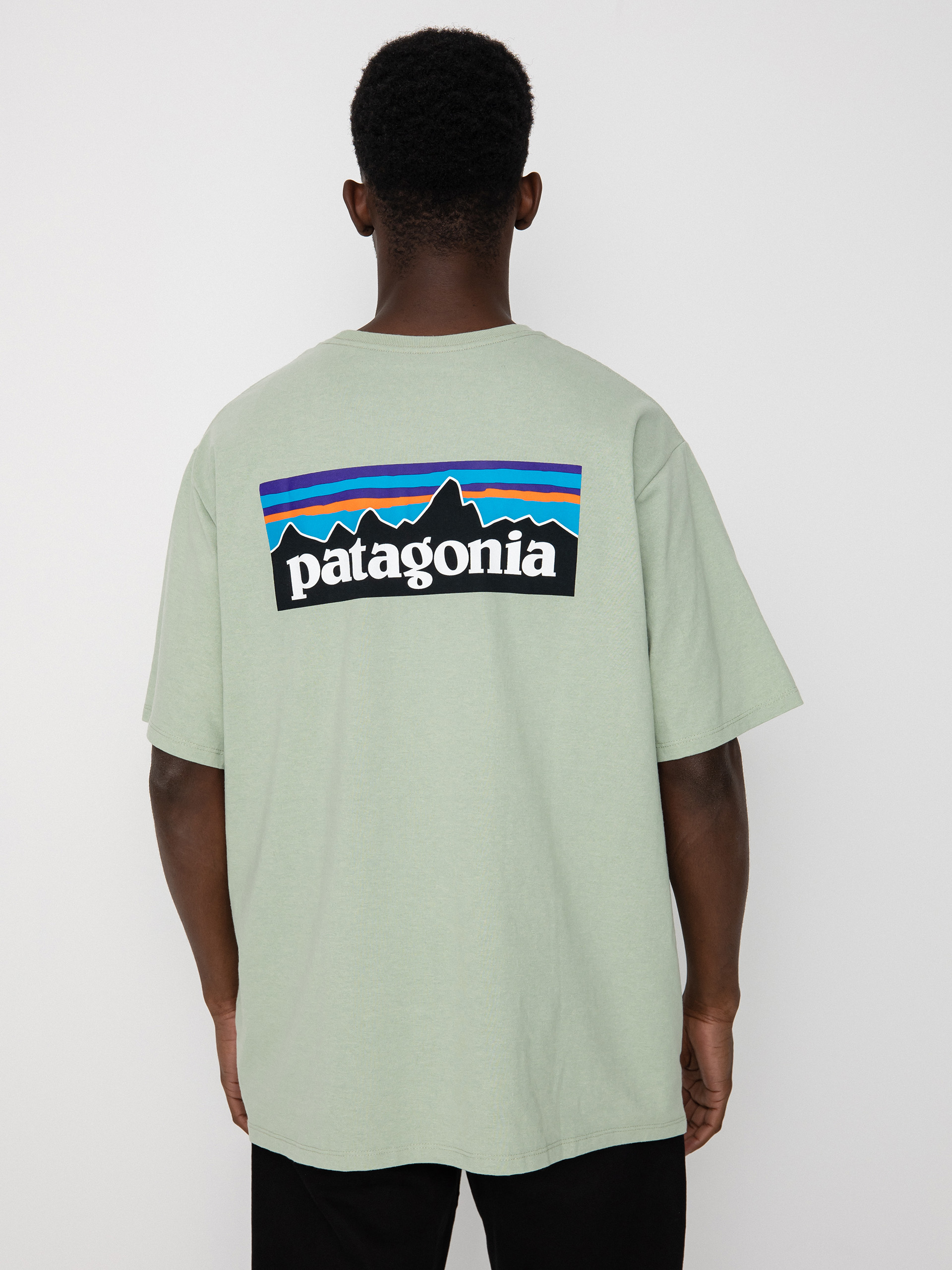 T-shirt Patagonia P 6 Logo Responsibili (salvia green)