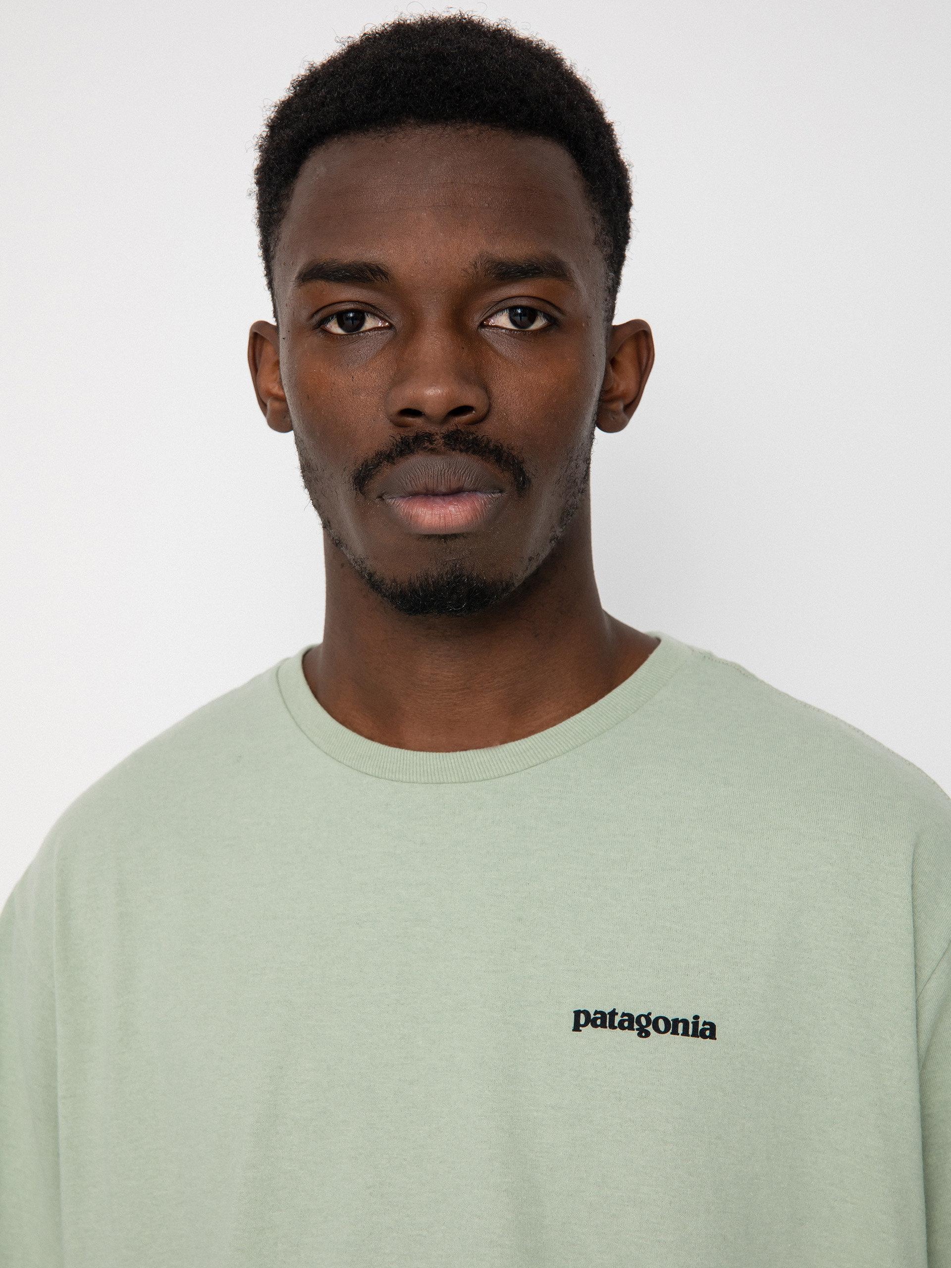 T-shirt Patagonia P 6 Logo Responsibili (salvia green)