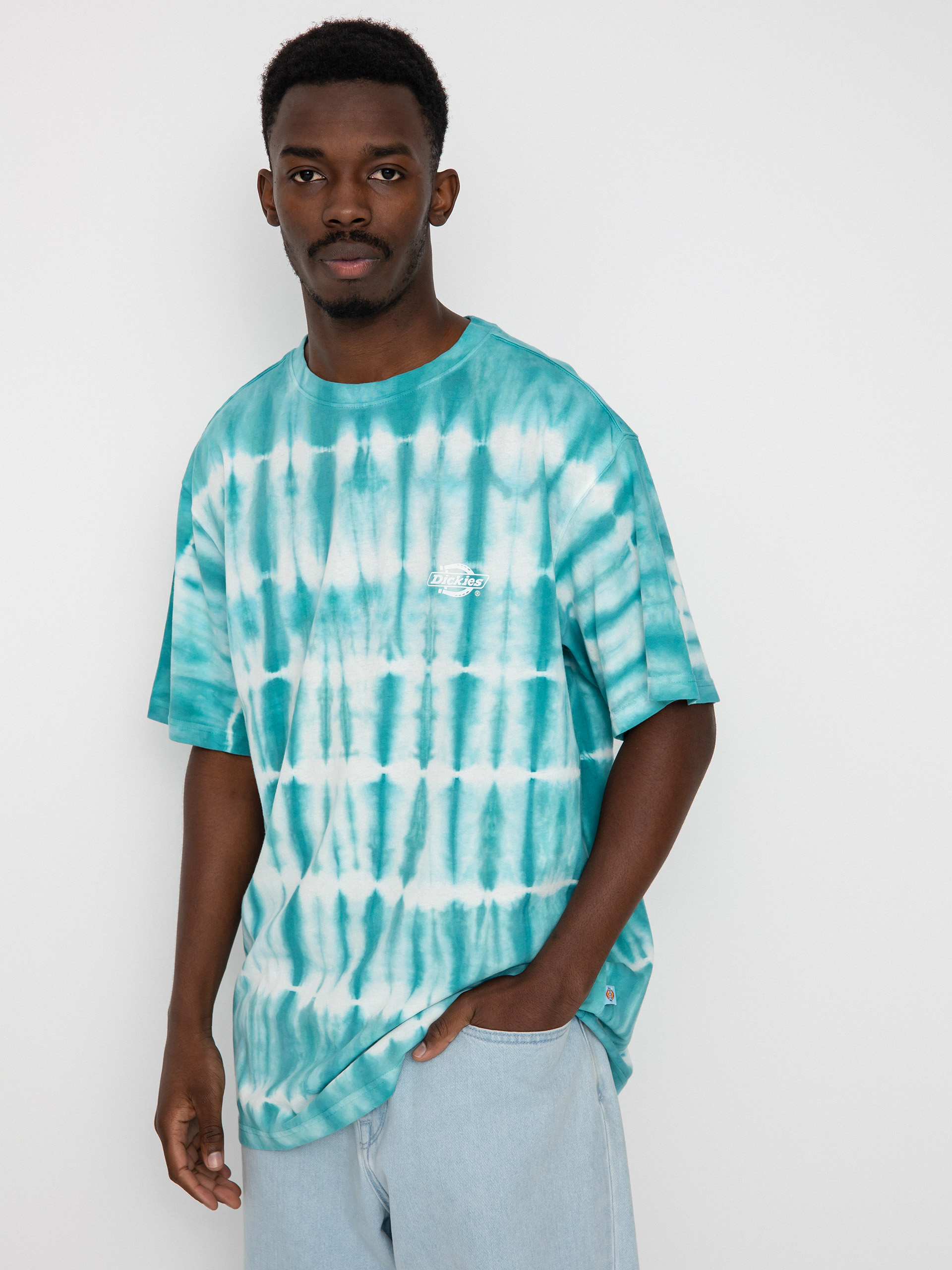 T-shirt Dickies Westfir (sky blue)