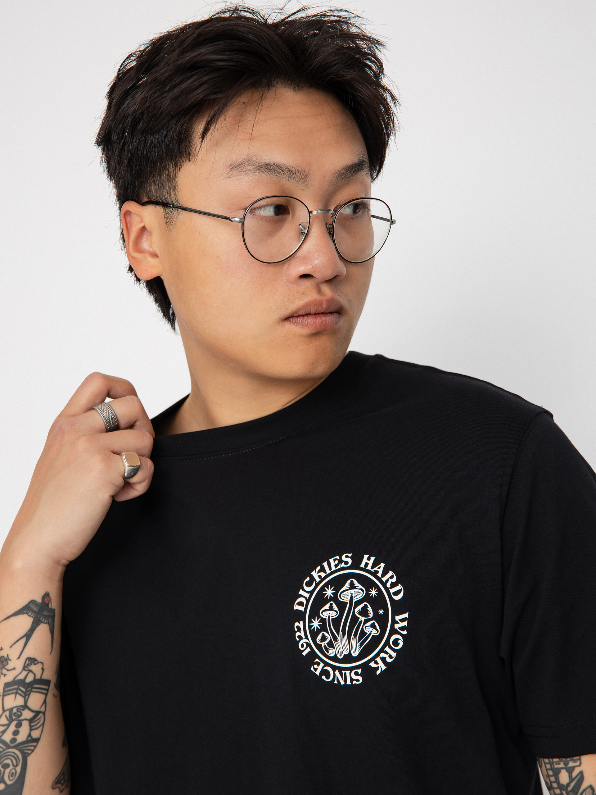 T-shirt Dickies Bayside Gardens (black)