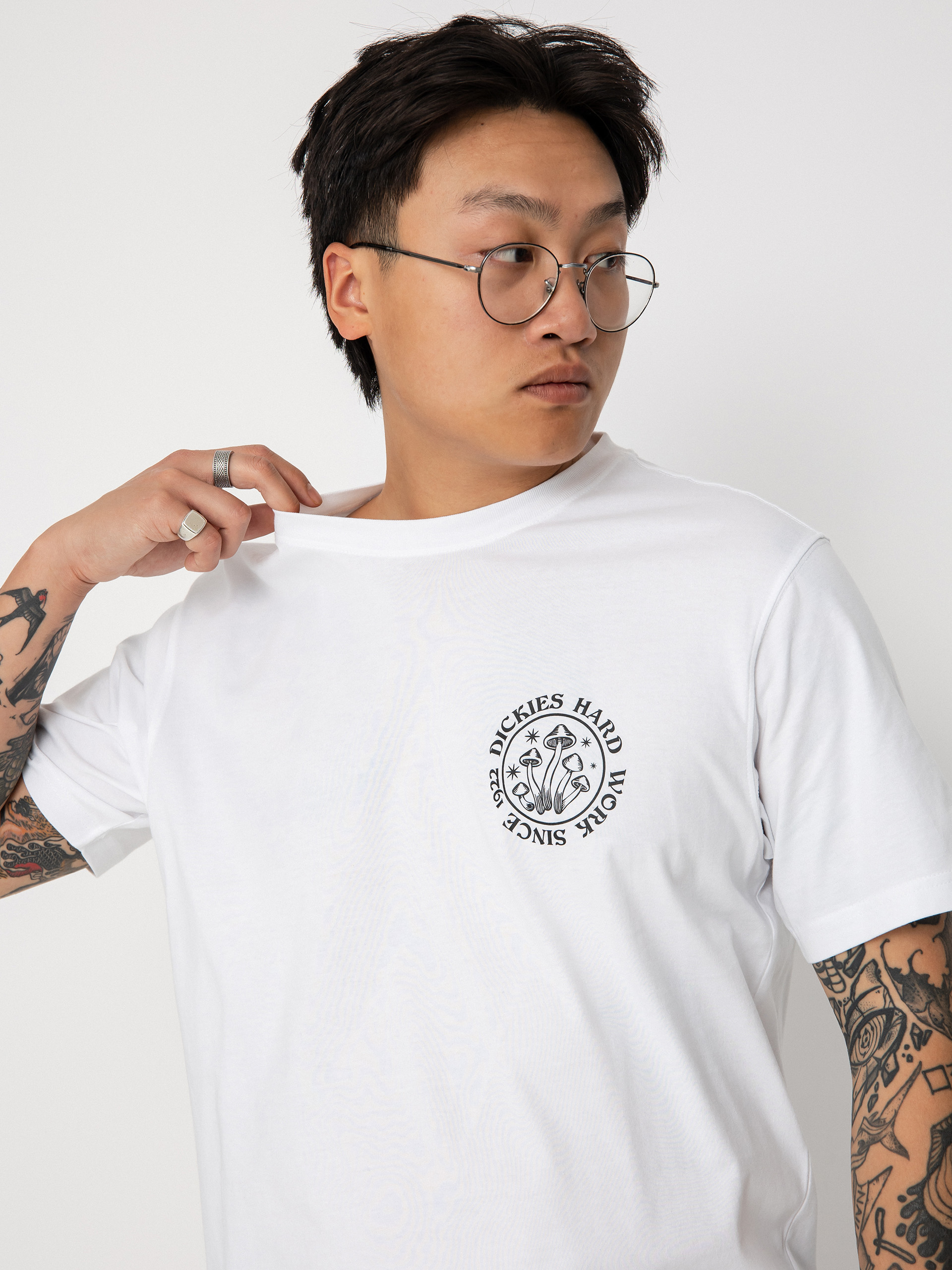 T-shirt Dickies Bayside Gardens (white)