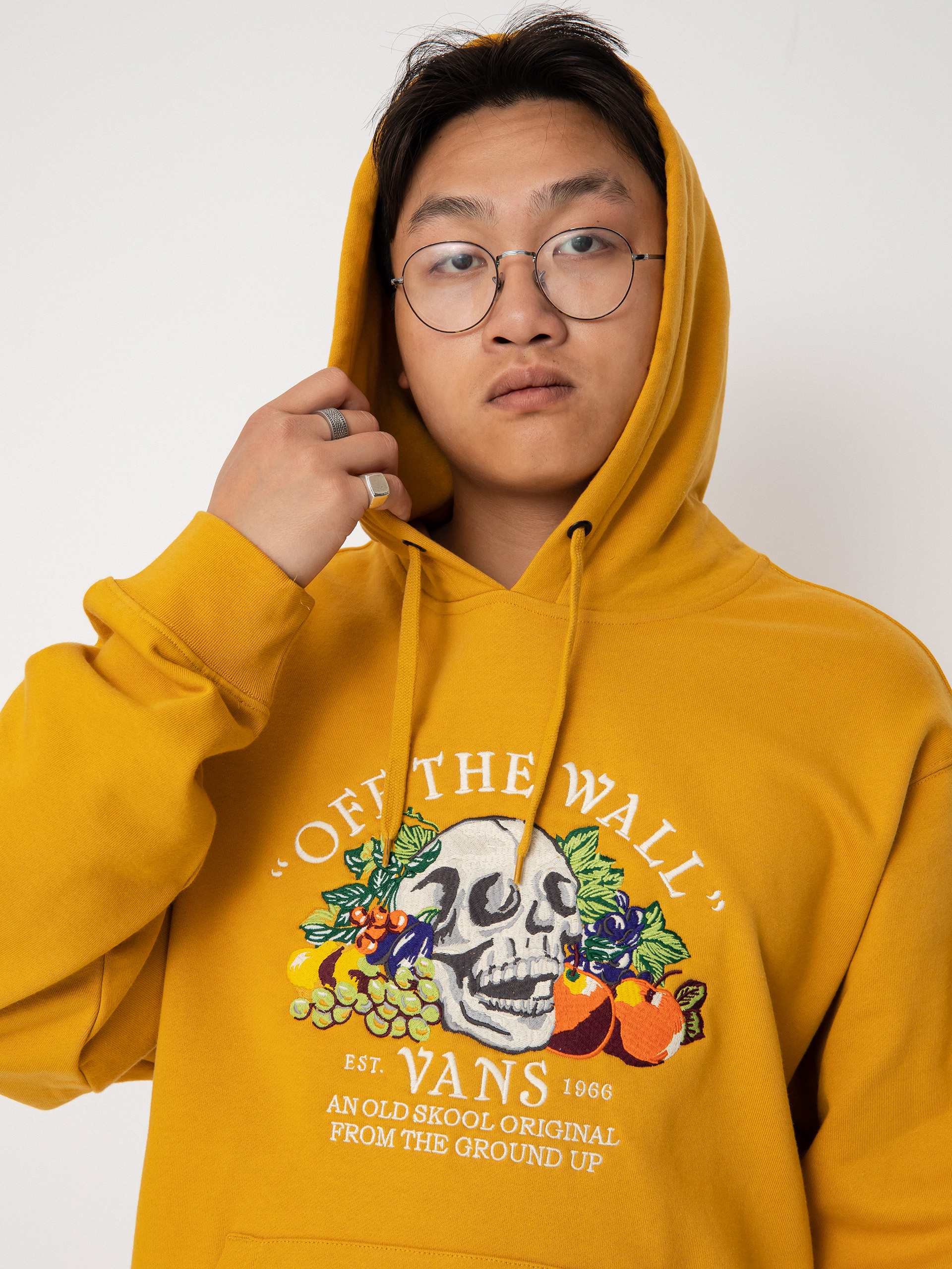 Bluza z kapturem Vans From The Ground Up HD (narcissus)