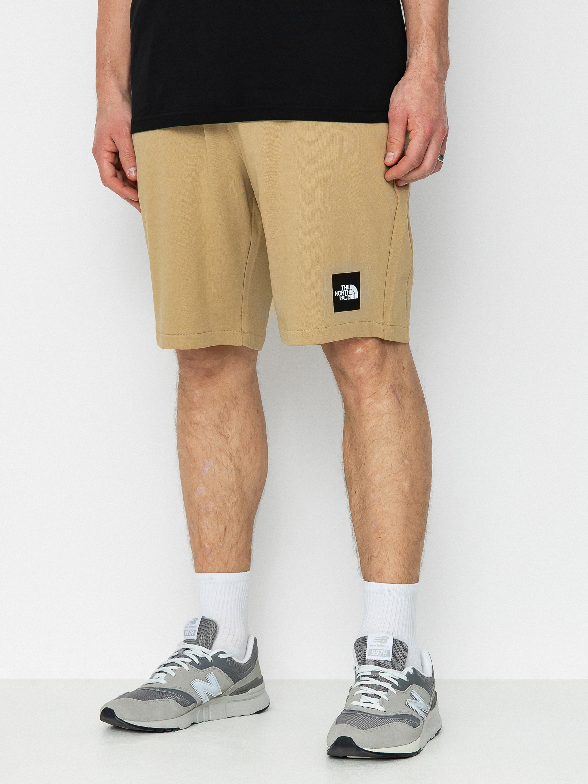 Szorty The North Face Summer Logo (khaki stone)