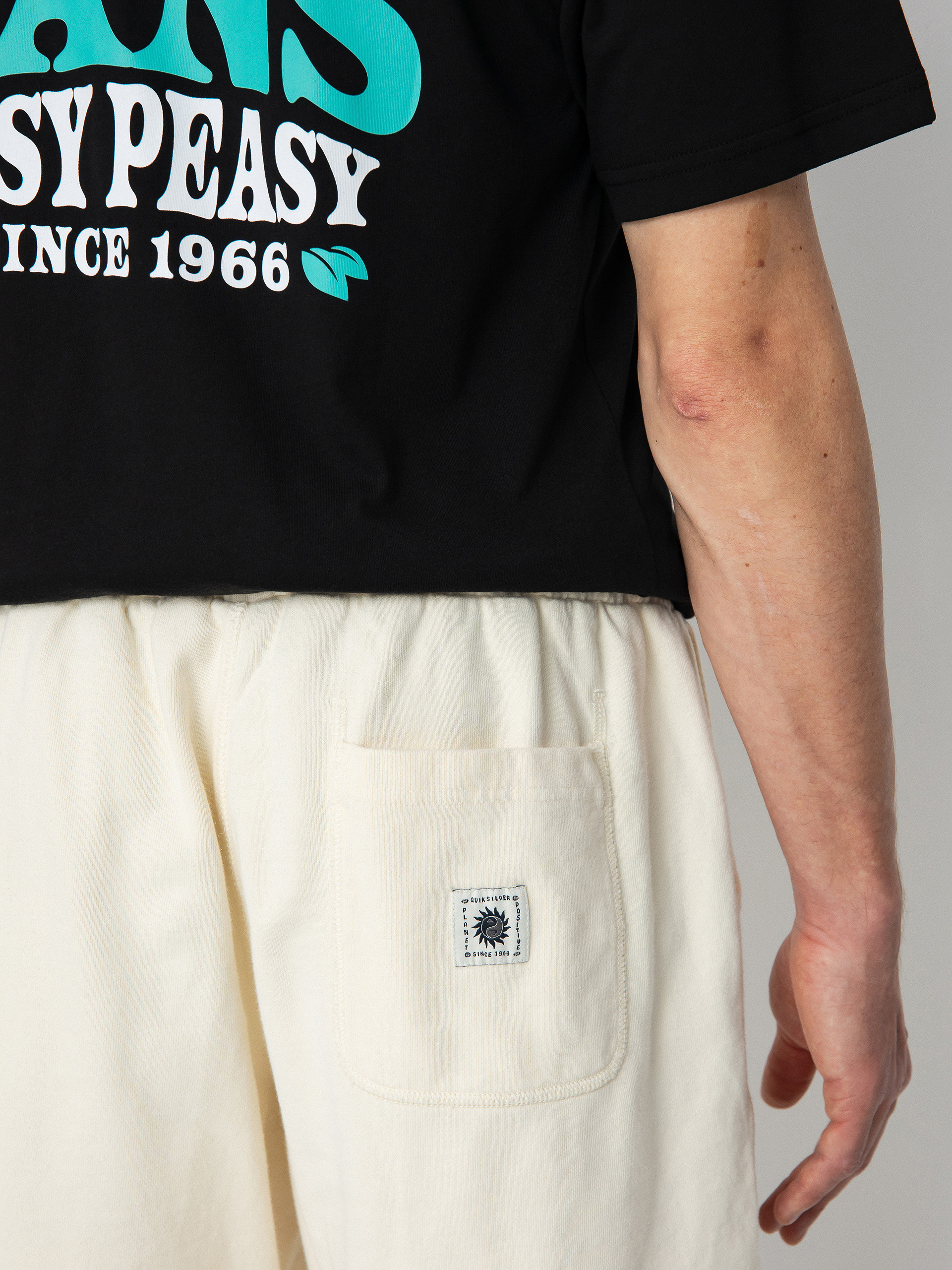 Szorty Quiksilver Trip Away (birch)