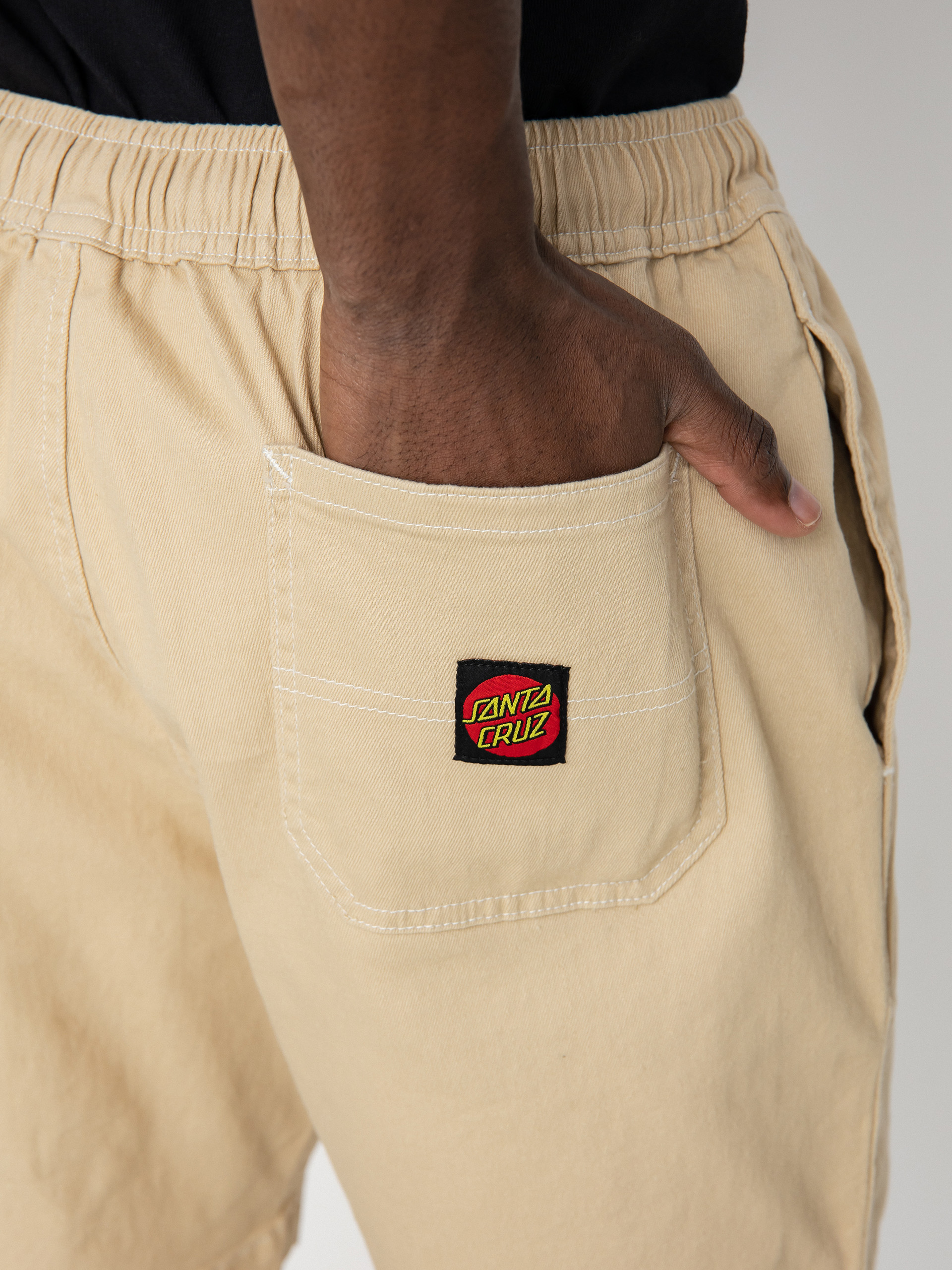 Szorty Santa Cruz Painter (oat/white)