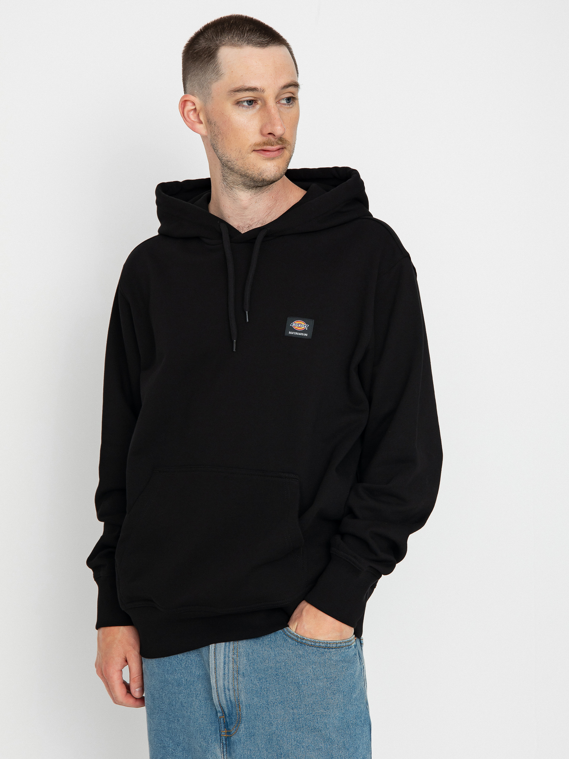 Bluza z kapturem Dickies Mount Vista HD (black)