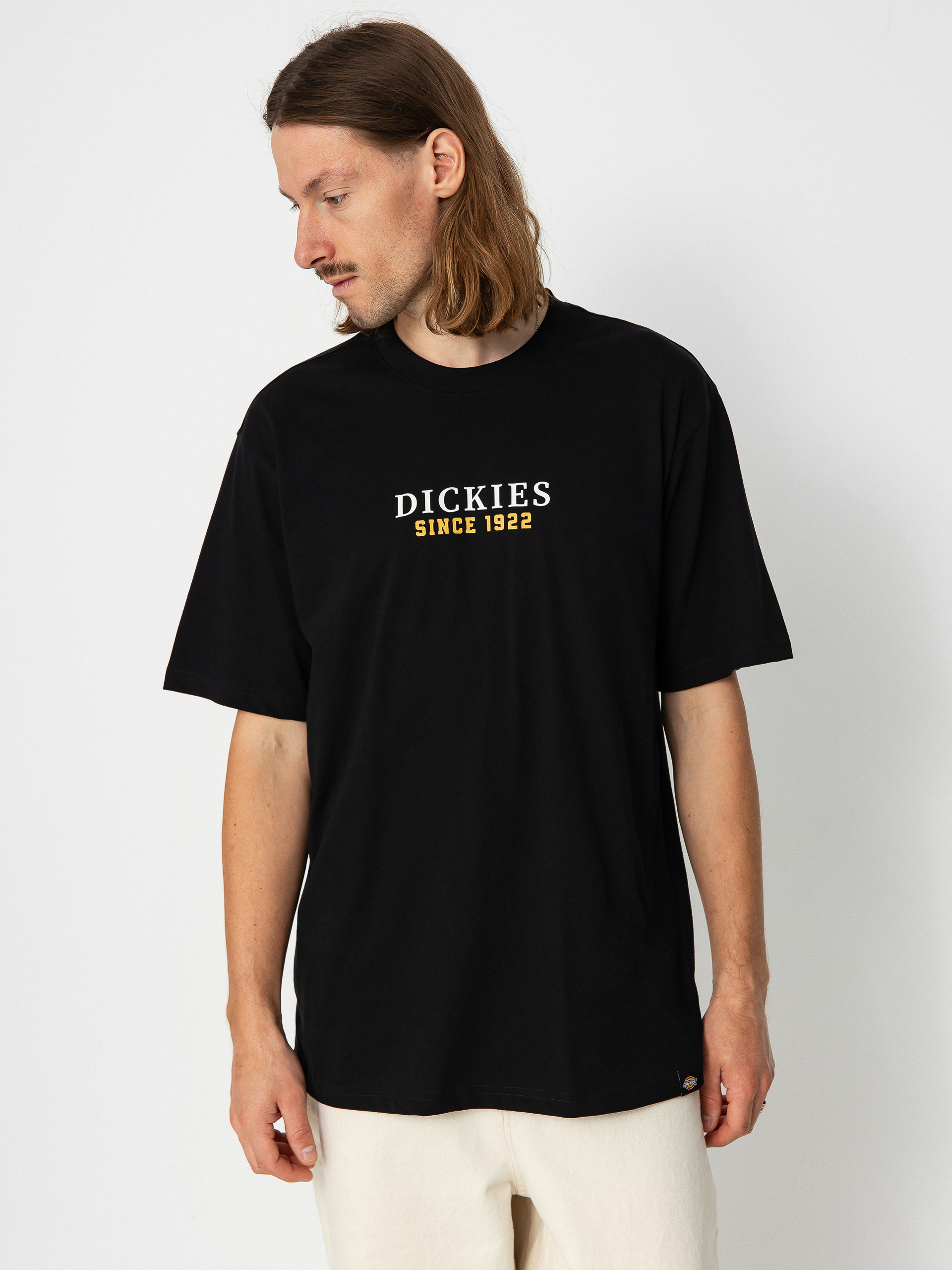 T-shirt Dickies Park (black)