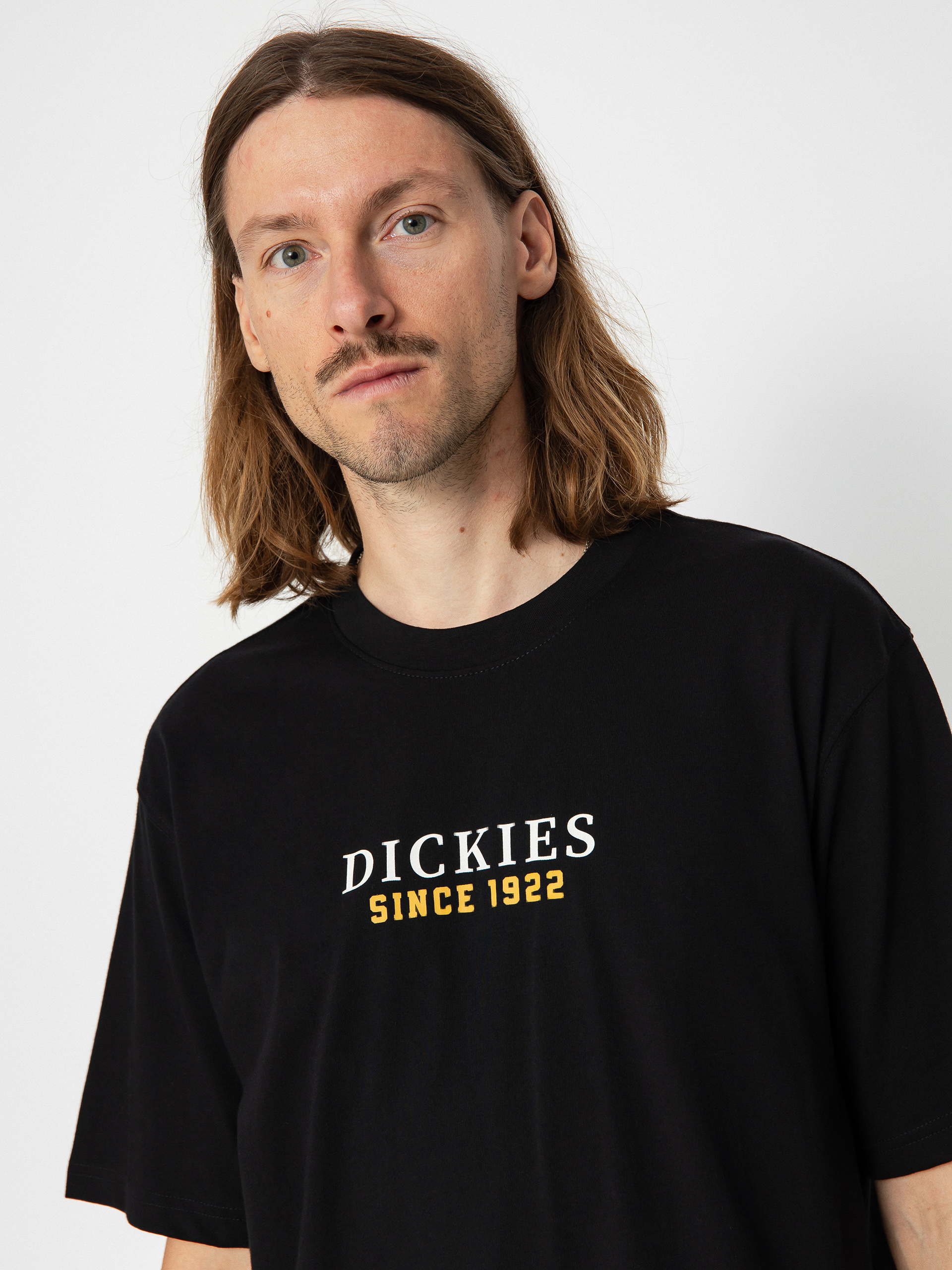 T-shirt Dickies Park (black)