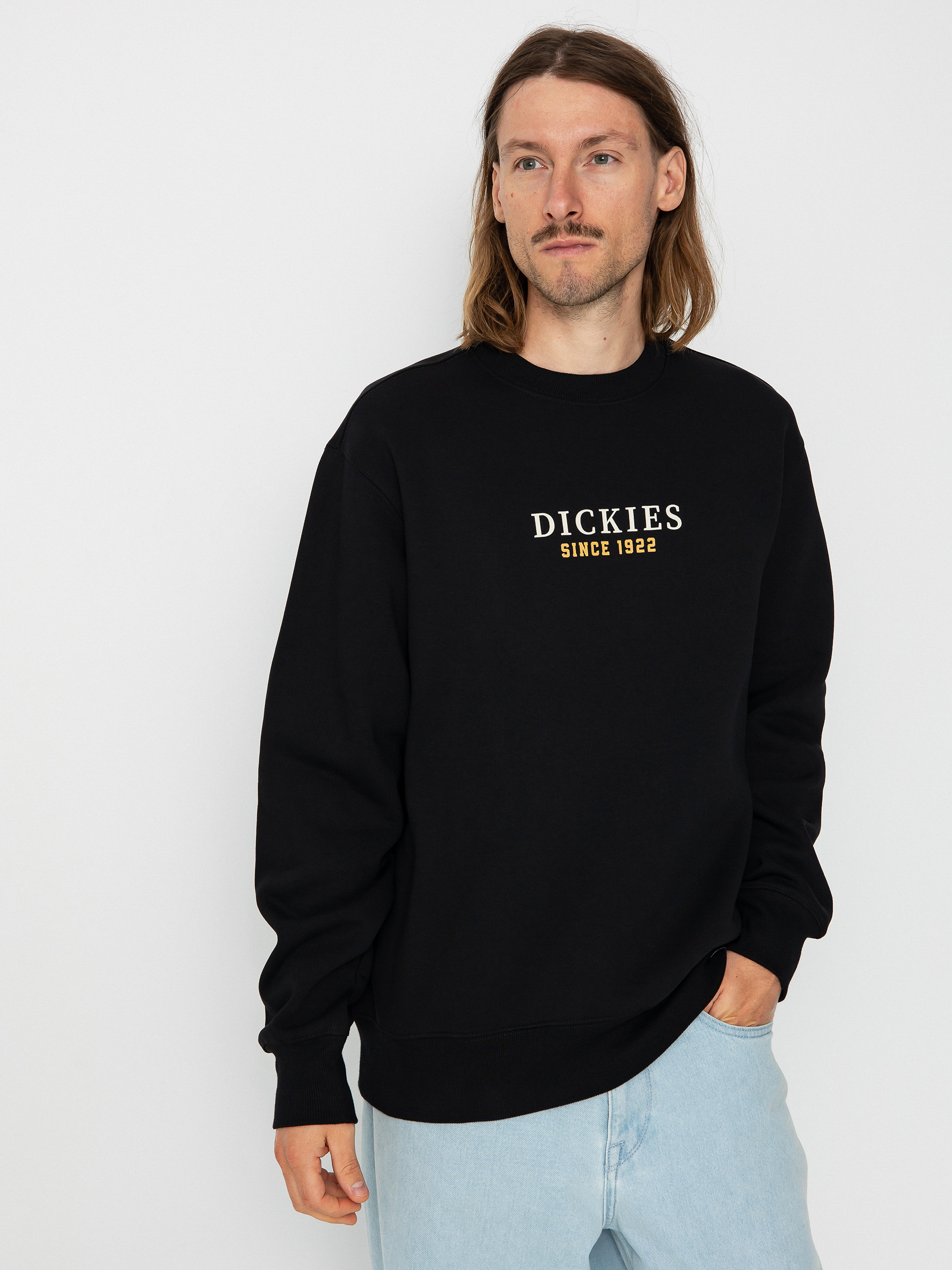 Bluza Dickies Park (black)