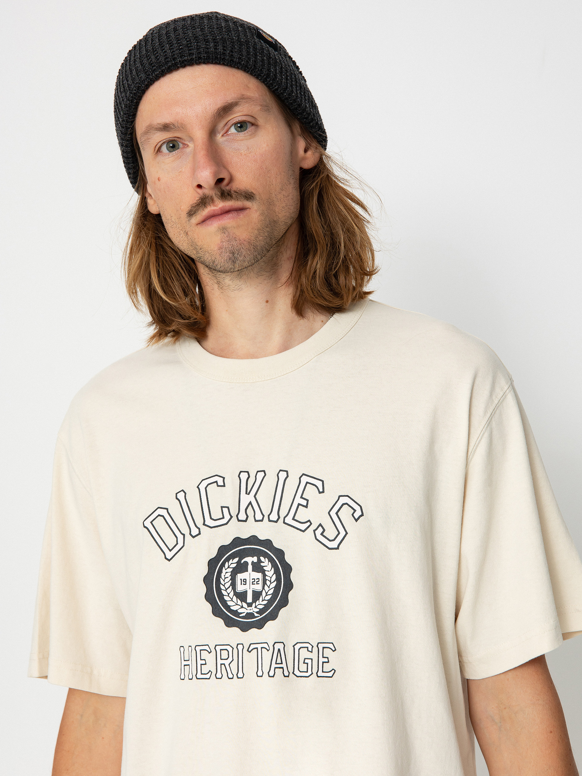 T-shirt Dickies Oxford (whitecap gray)