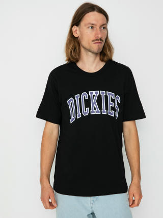 T-shirt Dickies Aitkin (black/imperial)
