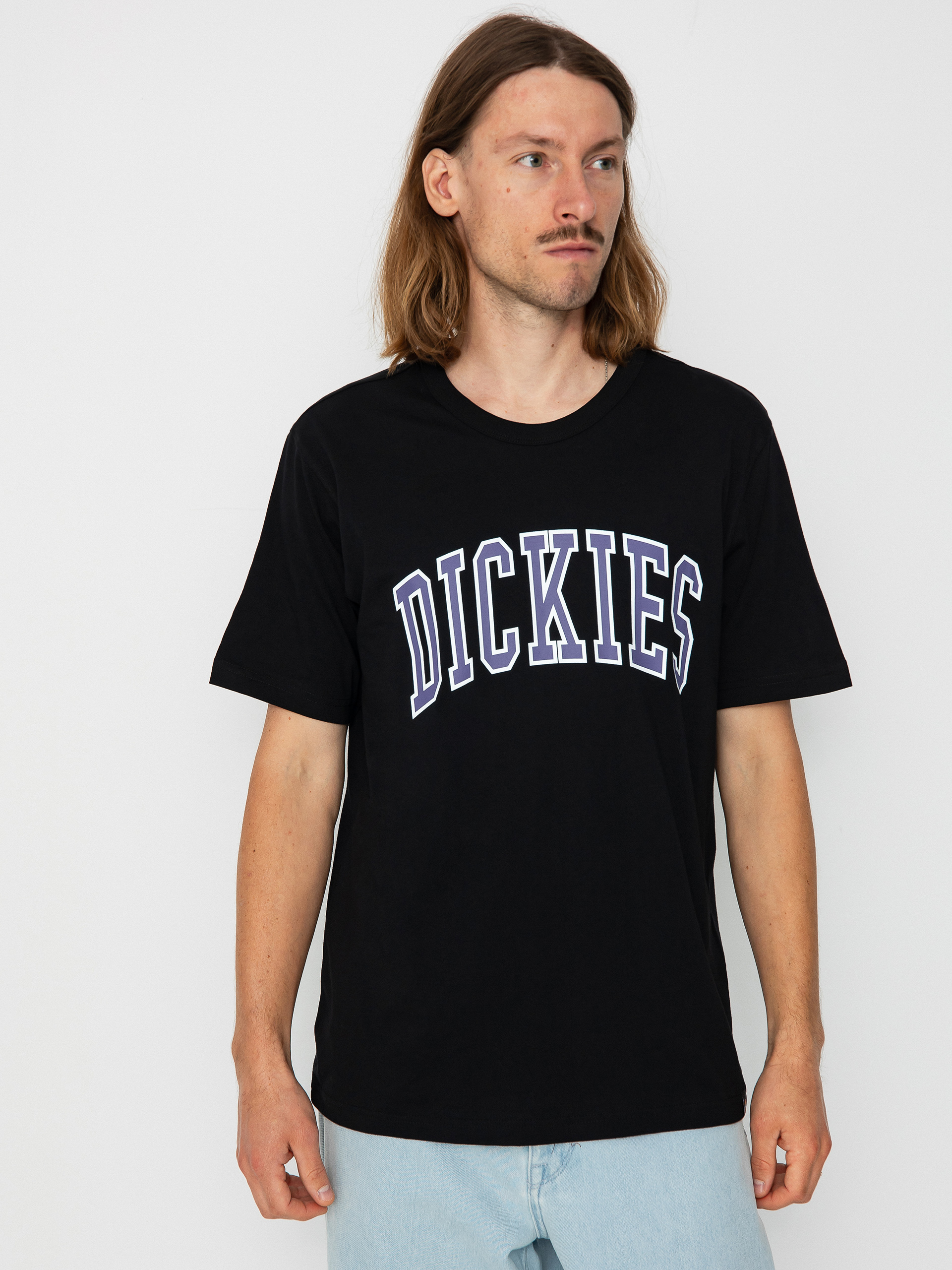 T-shirt Dickies Aitkin (black/imperial)