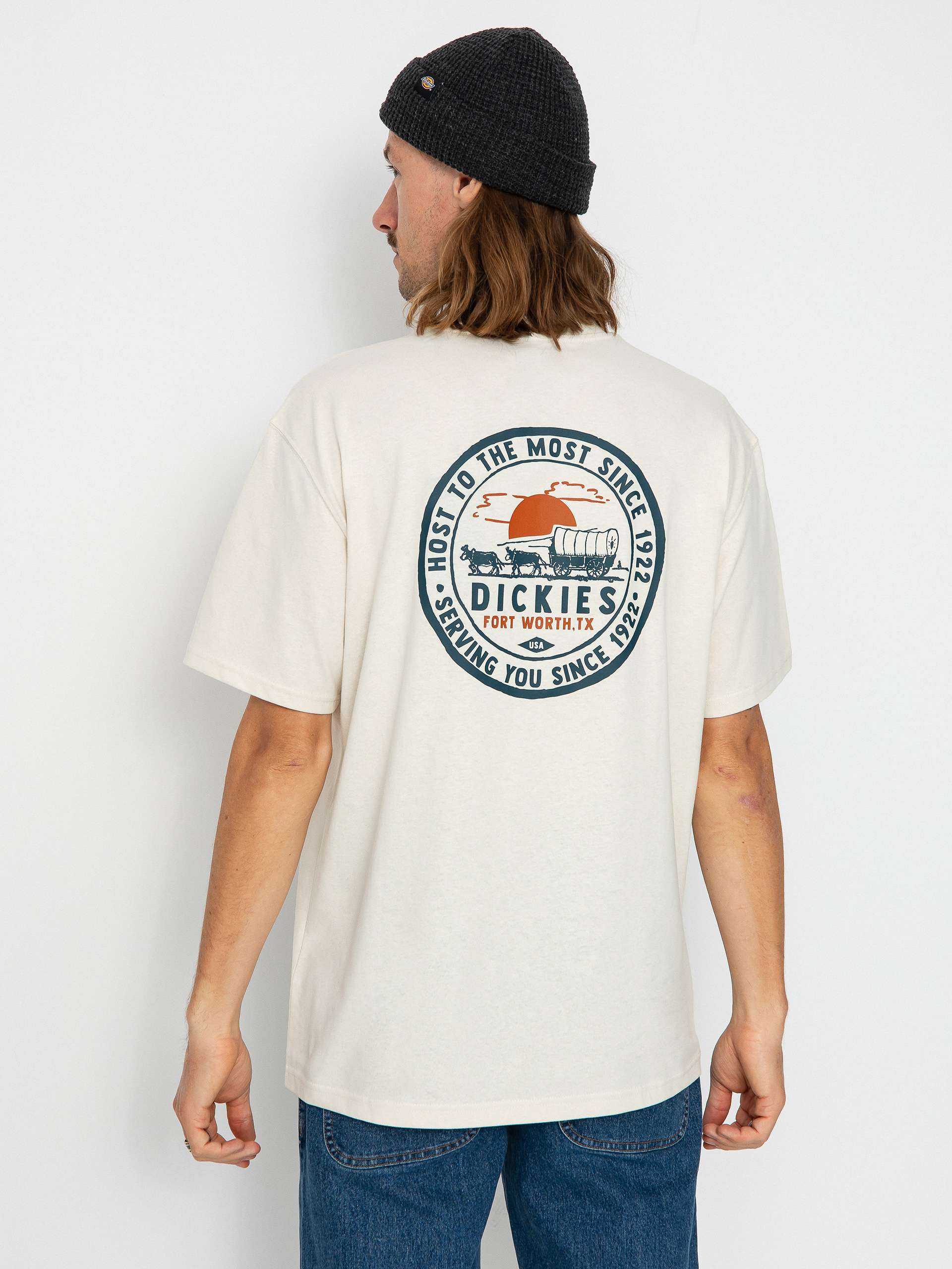T-shirt Dickies Greensburg (whitecap gray)