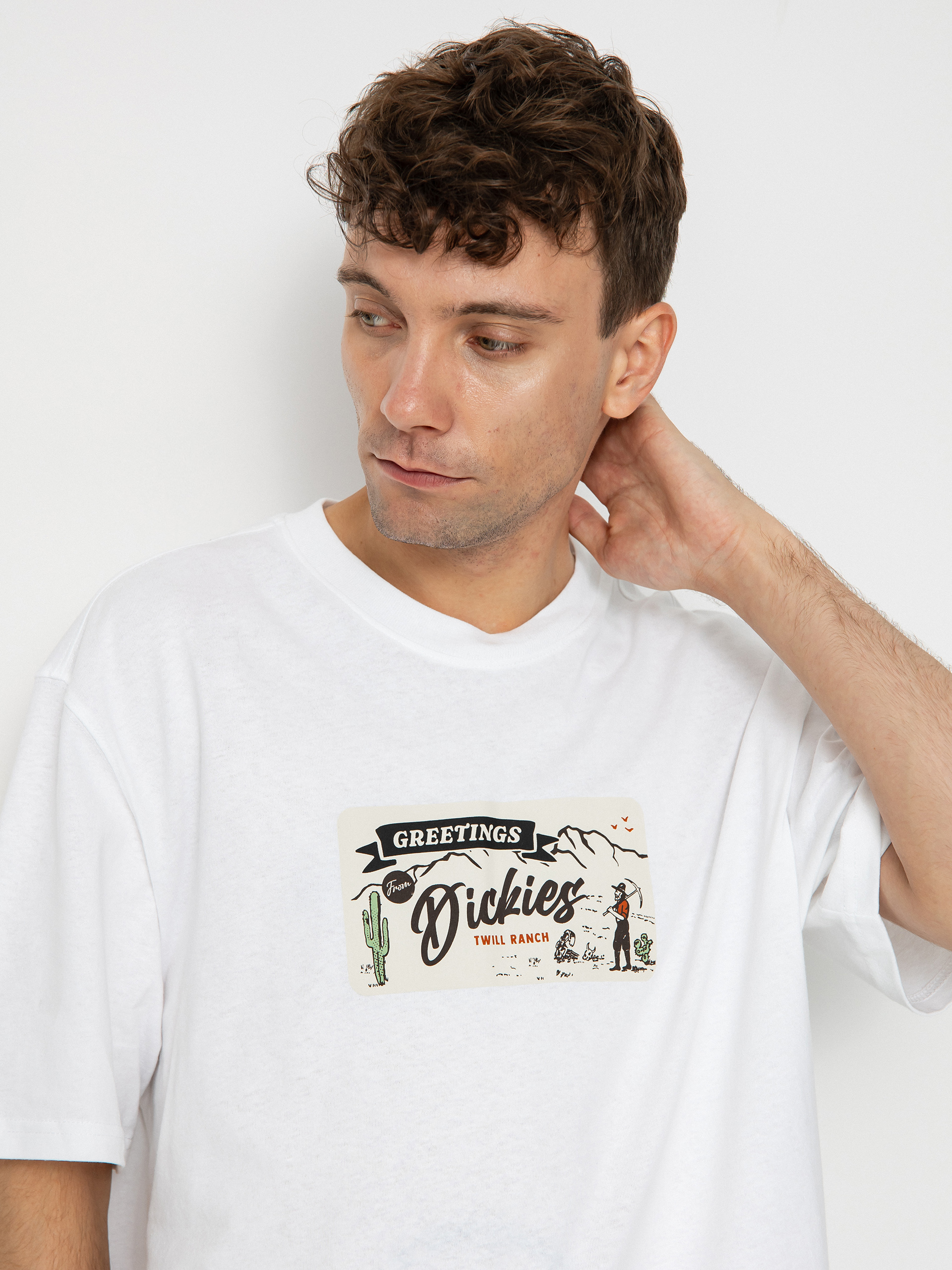T-shirt Dickies Rossville (white)