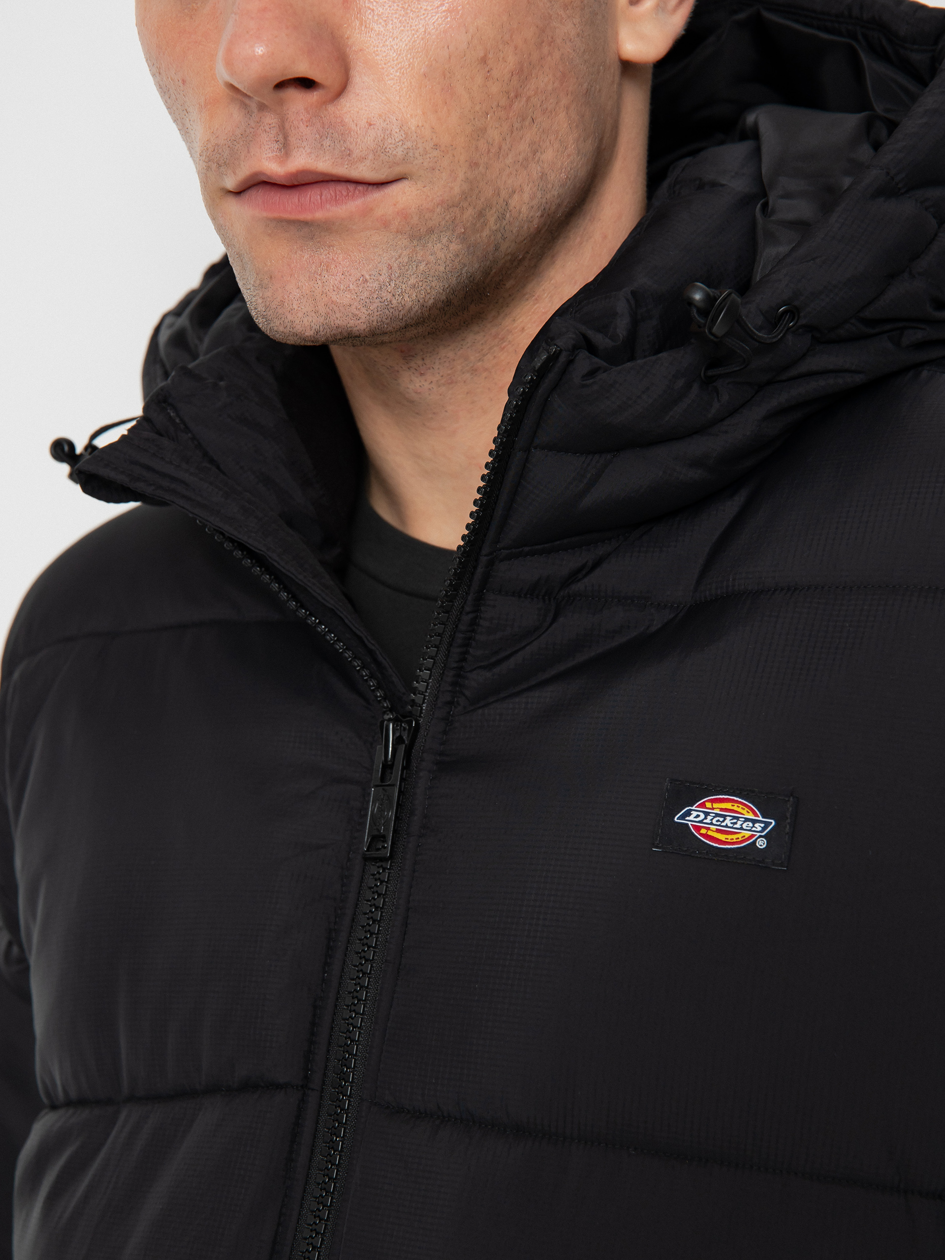 Kurtka Dickies Waldenburg (black)