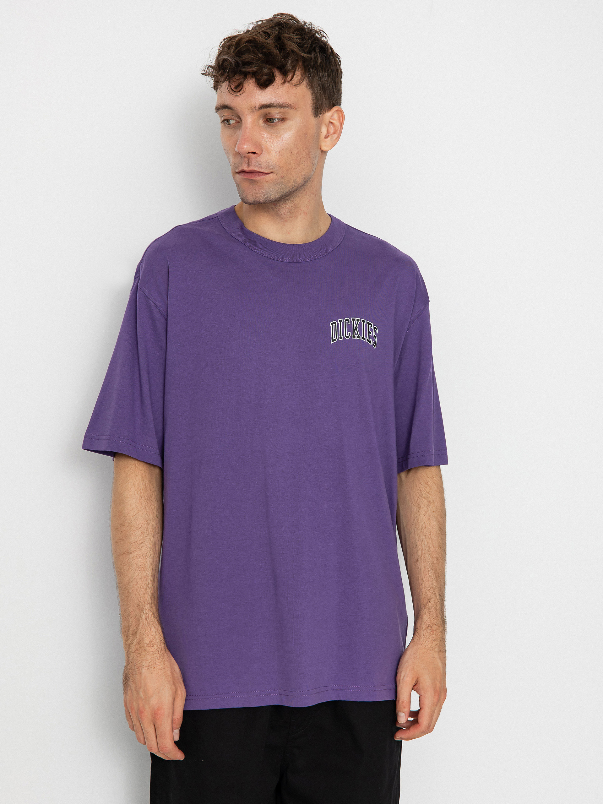 T-shirt Dickies Aitkin Chest (imperial palace)