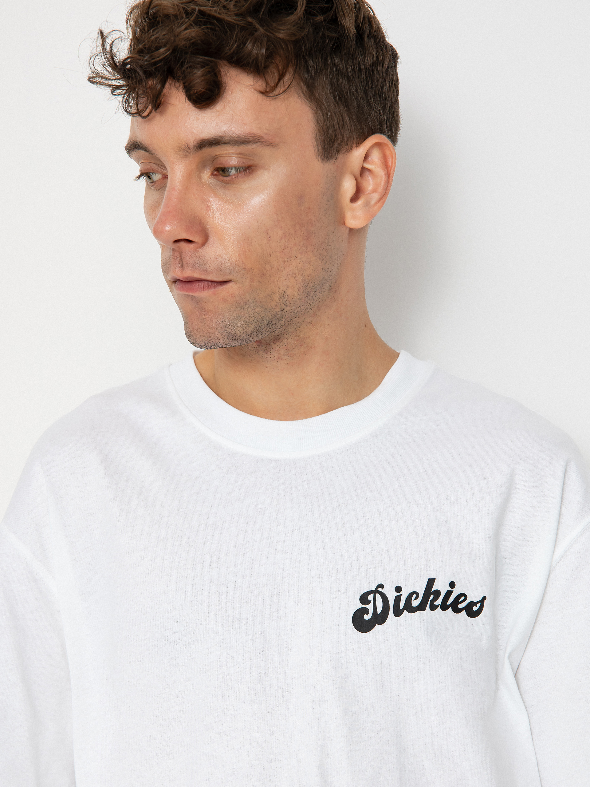 T-shirt Dickies Grainfield (white)