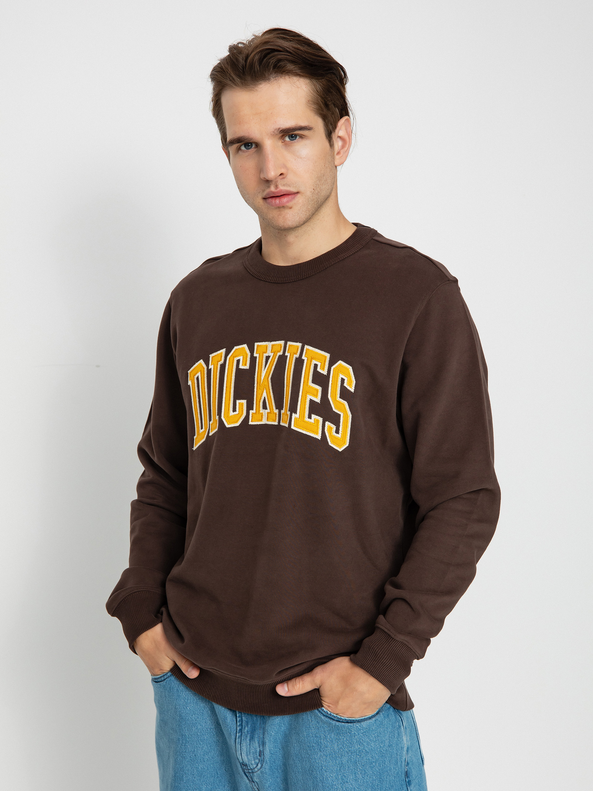 Bluza Dickies Aitkin (java)