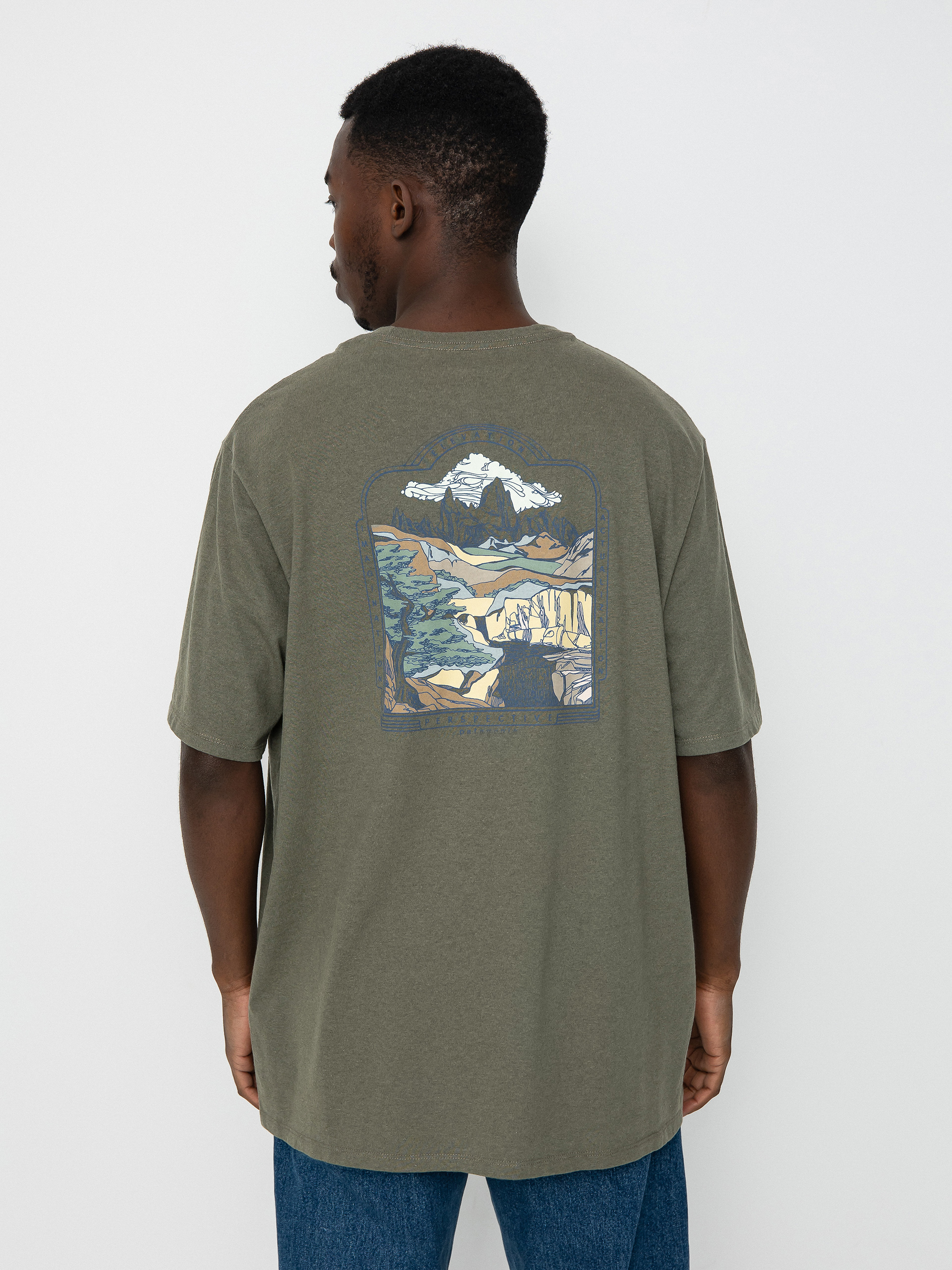 T-shirt Patagonia 50 Year Responsibili (the long view/sleet green)