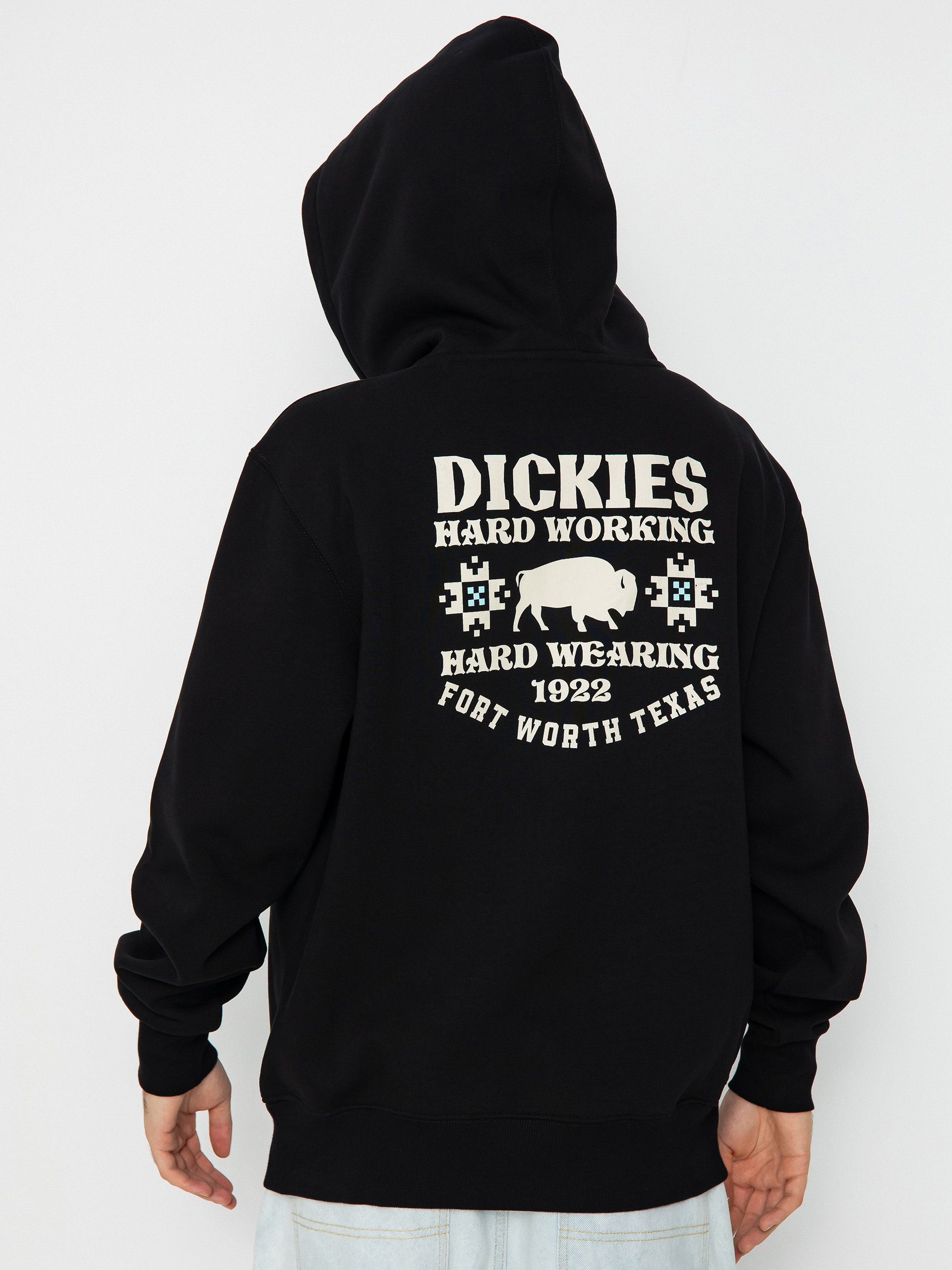 Bluza z kapturem Dickies Hays HD (black)