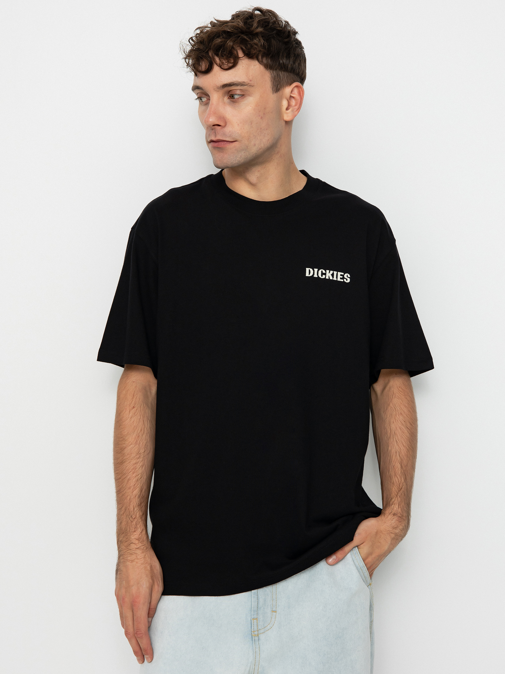 T-shirt Dickies Hays (black)
