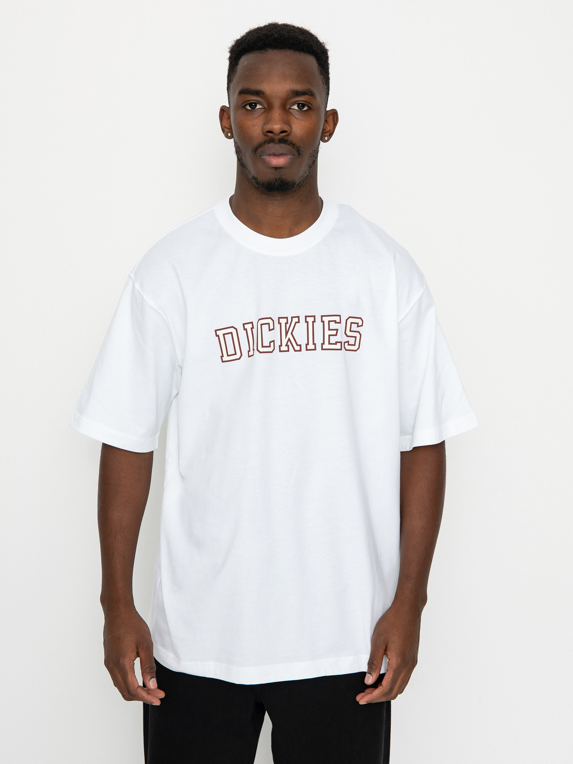 T-shirt Dickies Melvern (white)