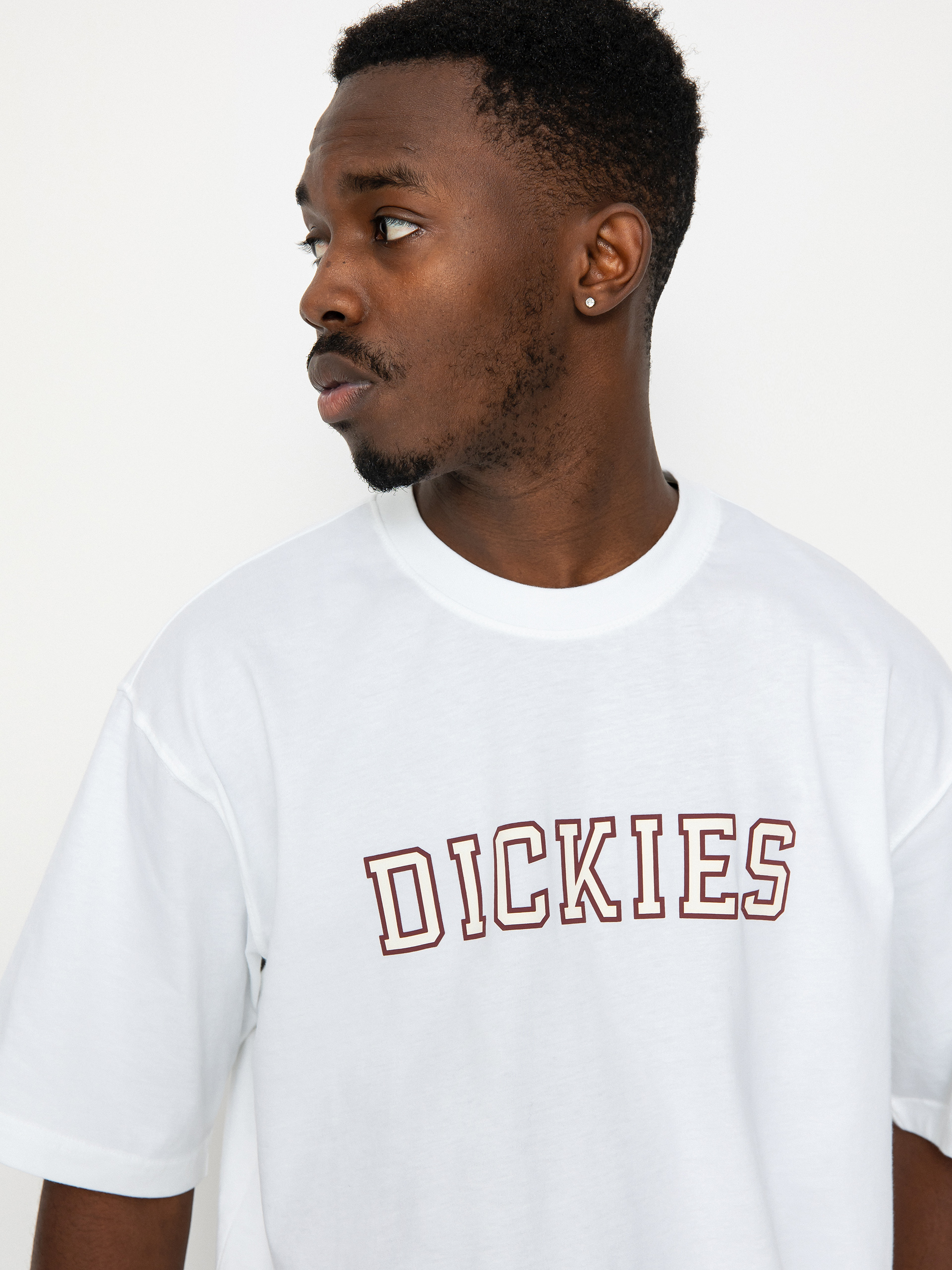 T-shirt Dickies Melvern (white)
