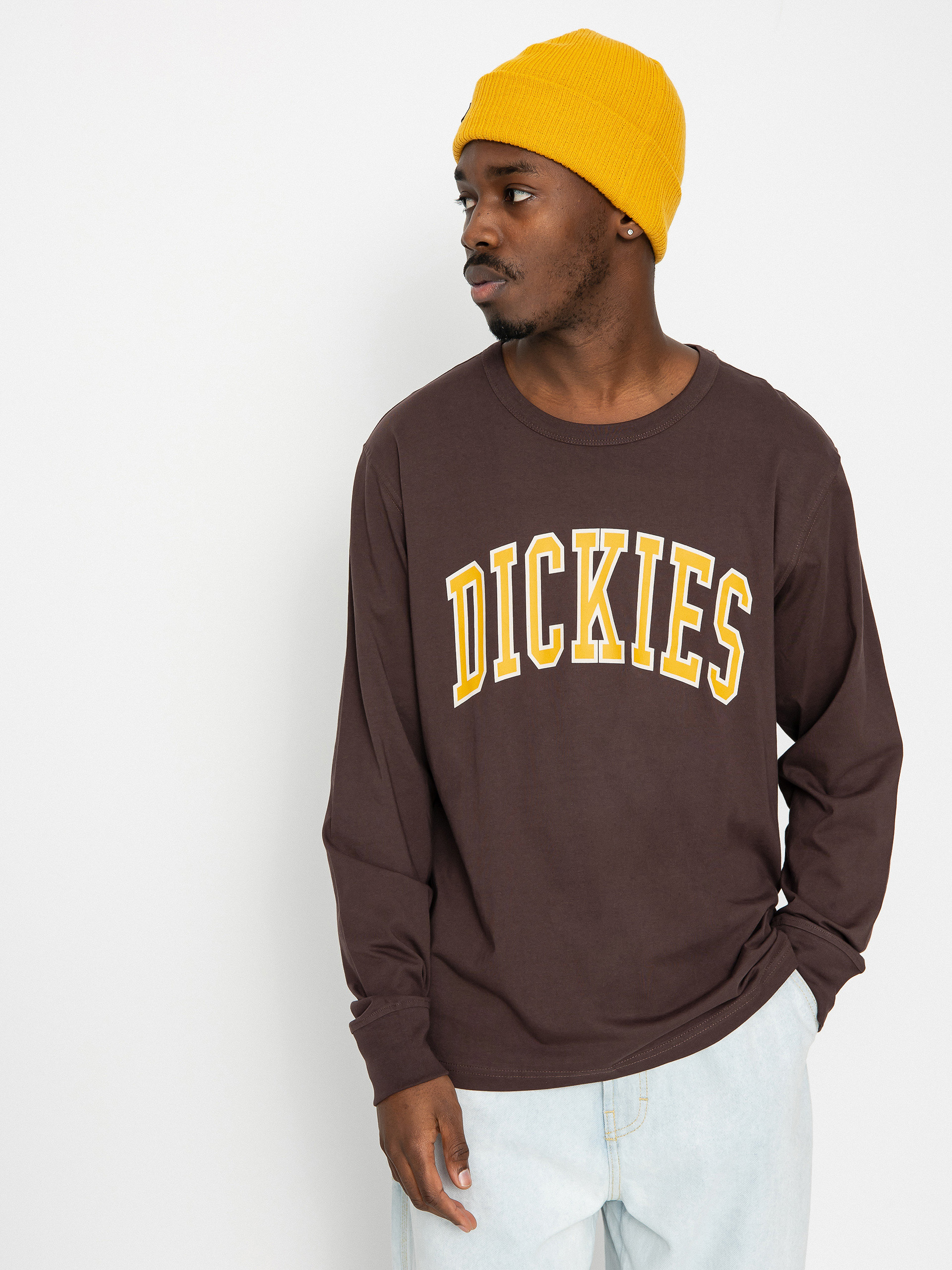 Longsleeve Dickies Aitkin (java)