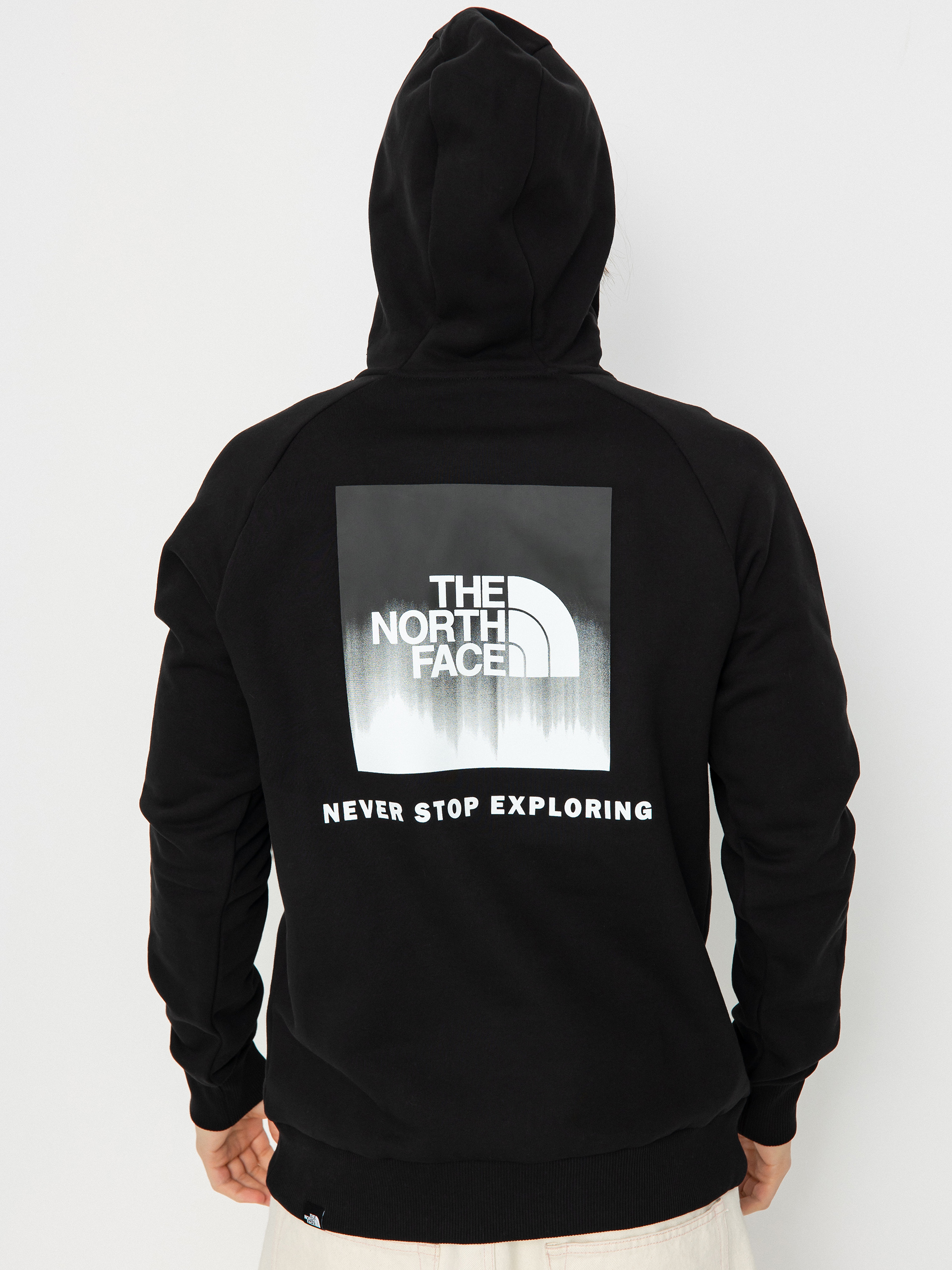 Bluza z kapturem The North Face Raglan Redbox HD (tnf black/tnf black dip)