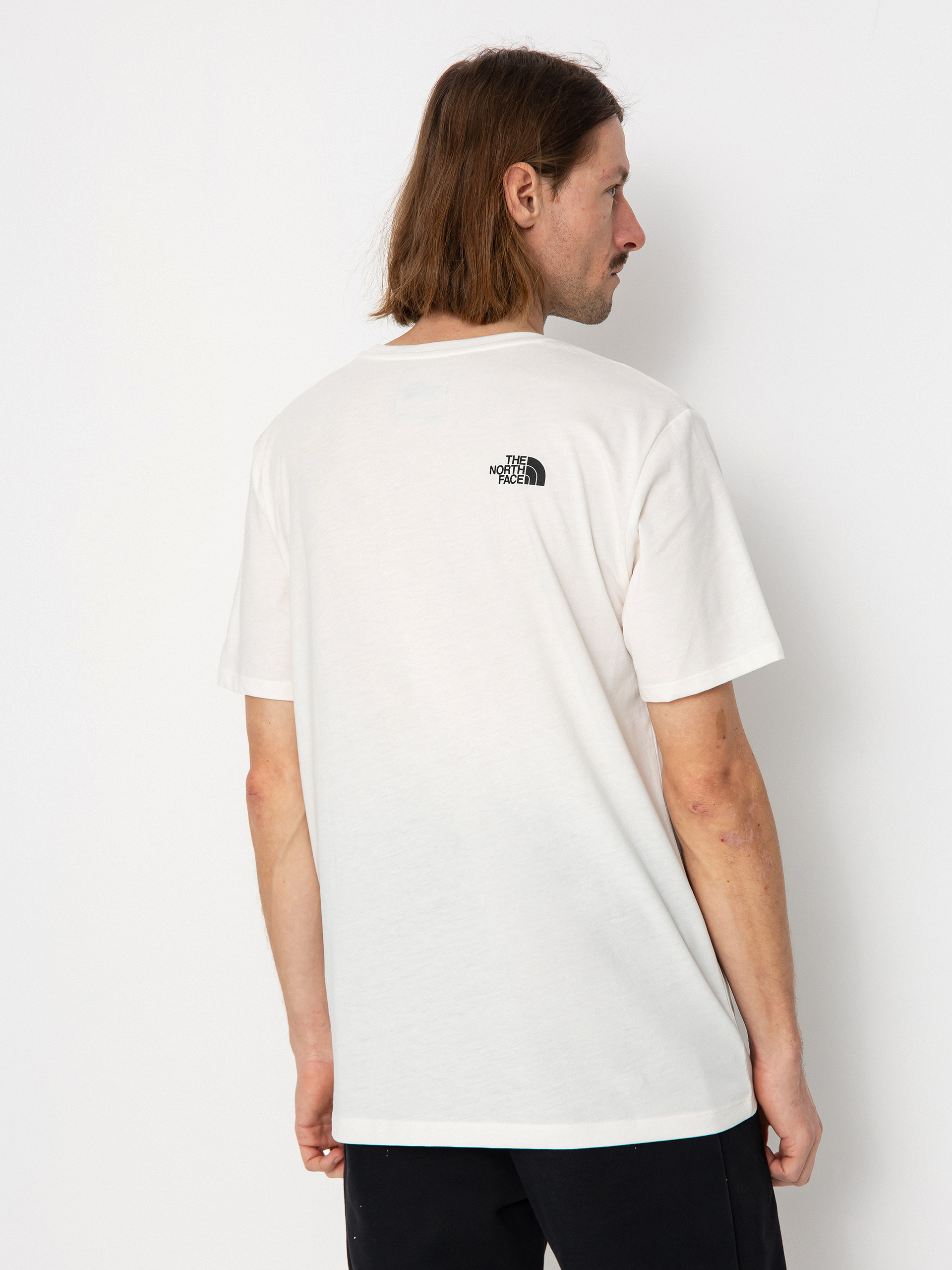 T-shirt The North Face Foundation Coordinates Graphic (gardniawt/gardniawt/tnfbk)