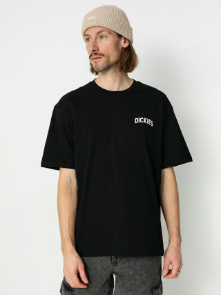 T-shirt Dickies Elliston (black)
