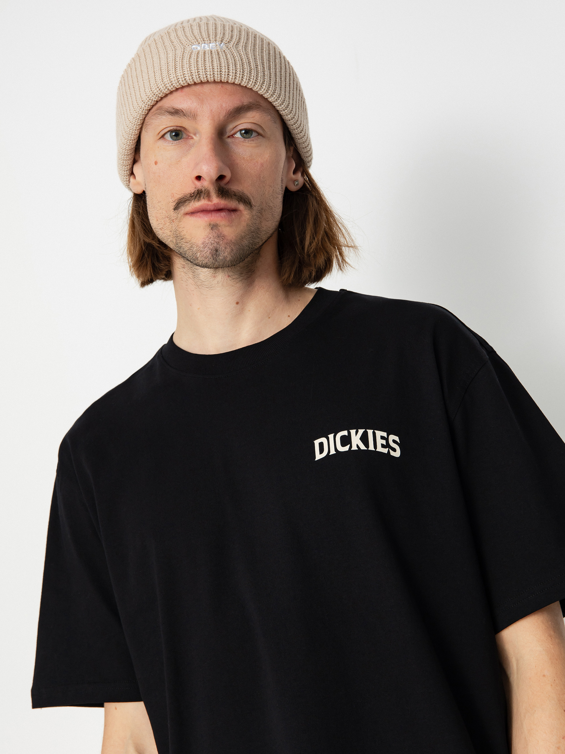 T-shirt Dickies Elliston (black)