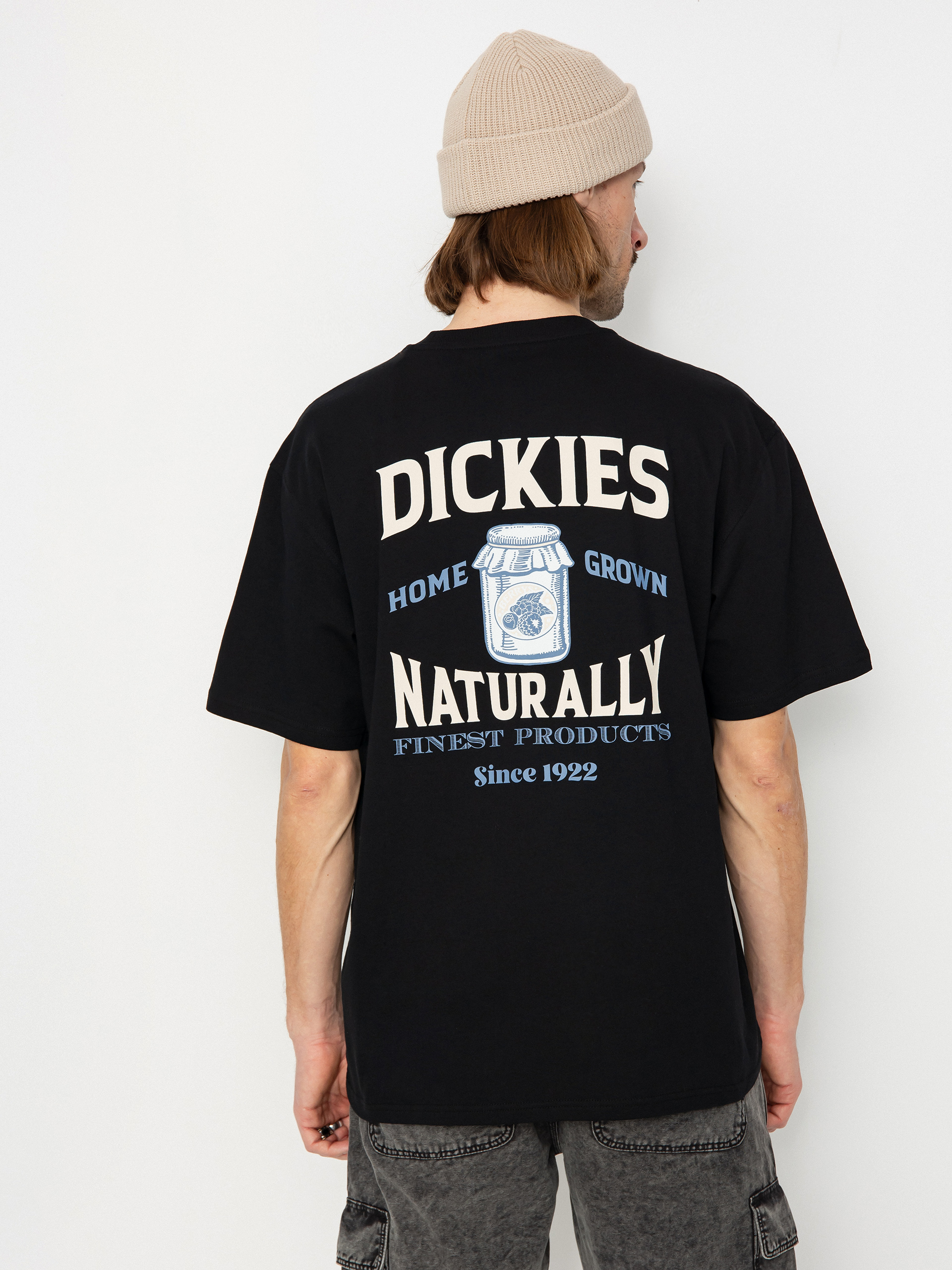 T-shirt Dickies Elliston (black)