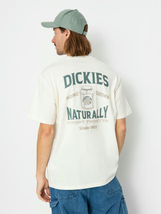 T-shirt Dickies Elliston (cloud)