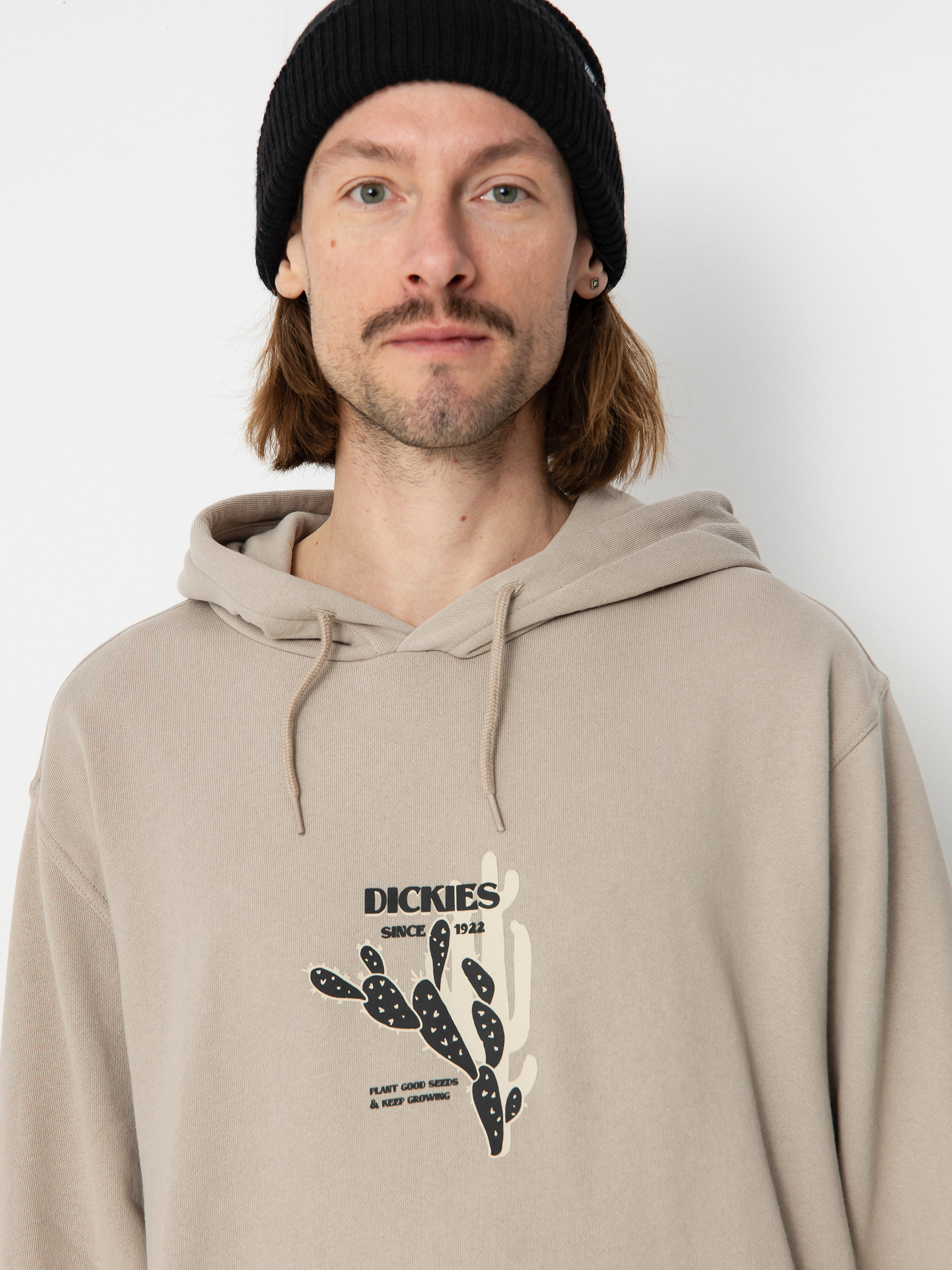 Bluza z kapturem Dickies Herndon HD (sandstone)