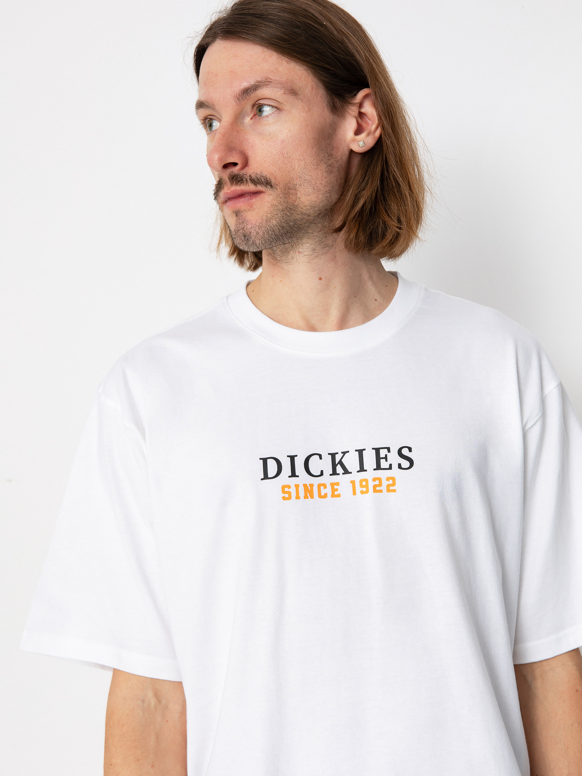 T-shirt Dickies Park (white/pale green)