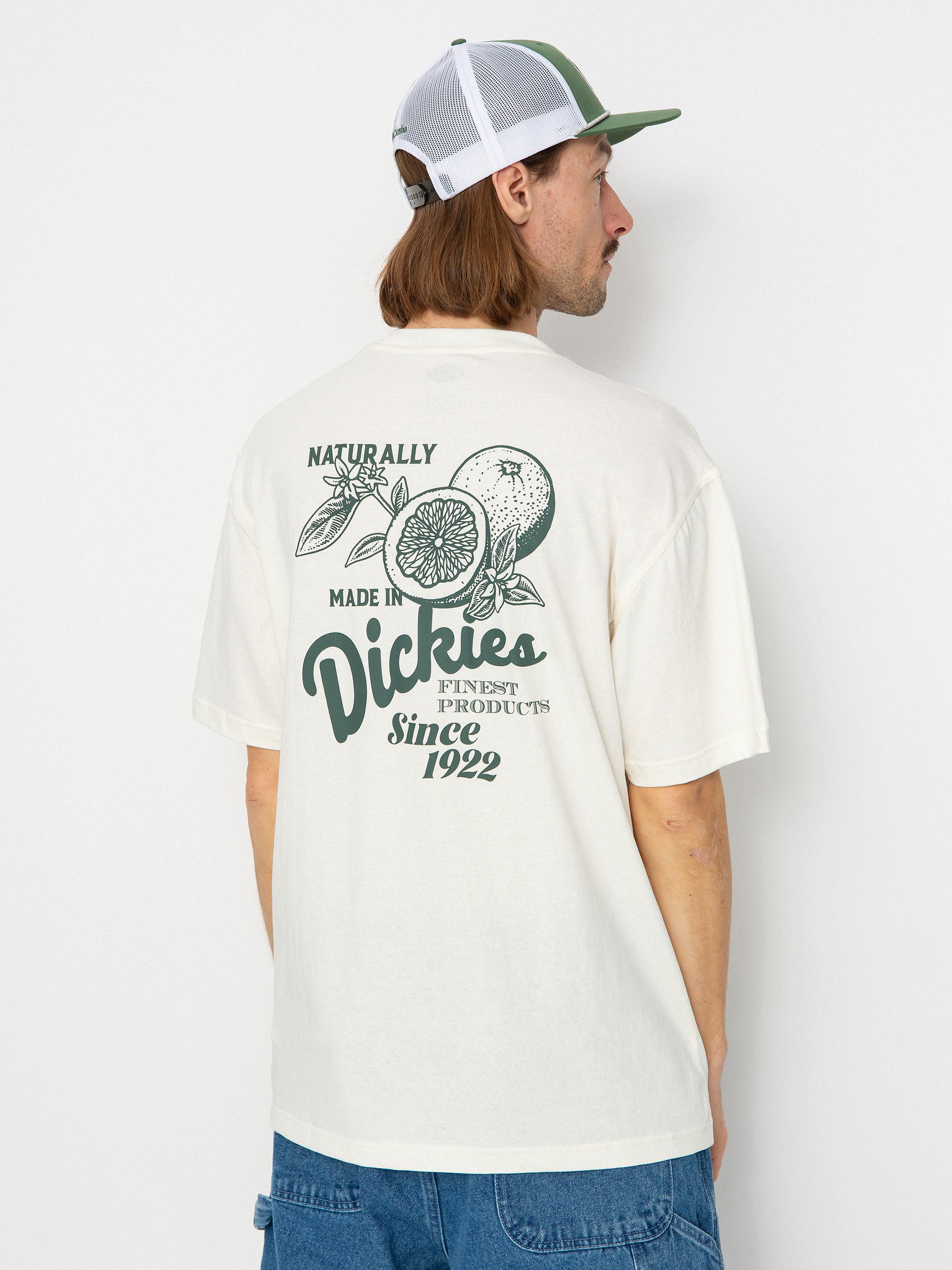 T-shirt Dickies Raven (cloud)