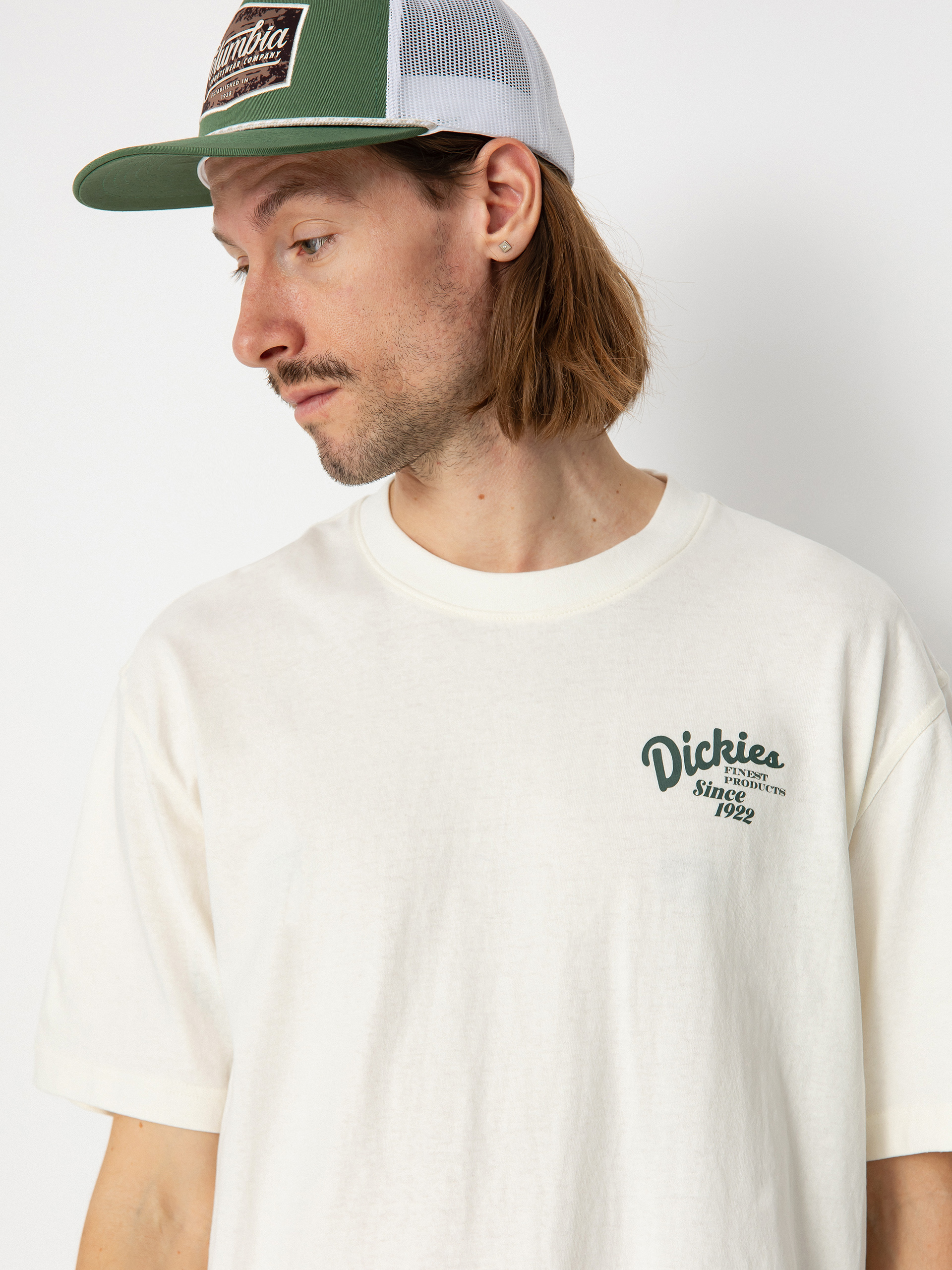 T-shirt Dickies Raven (cloud)